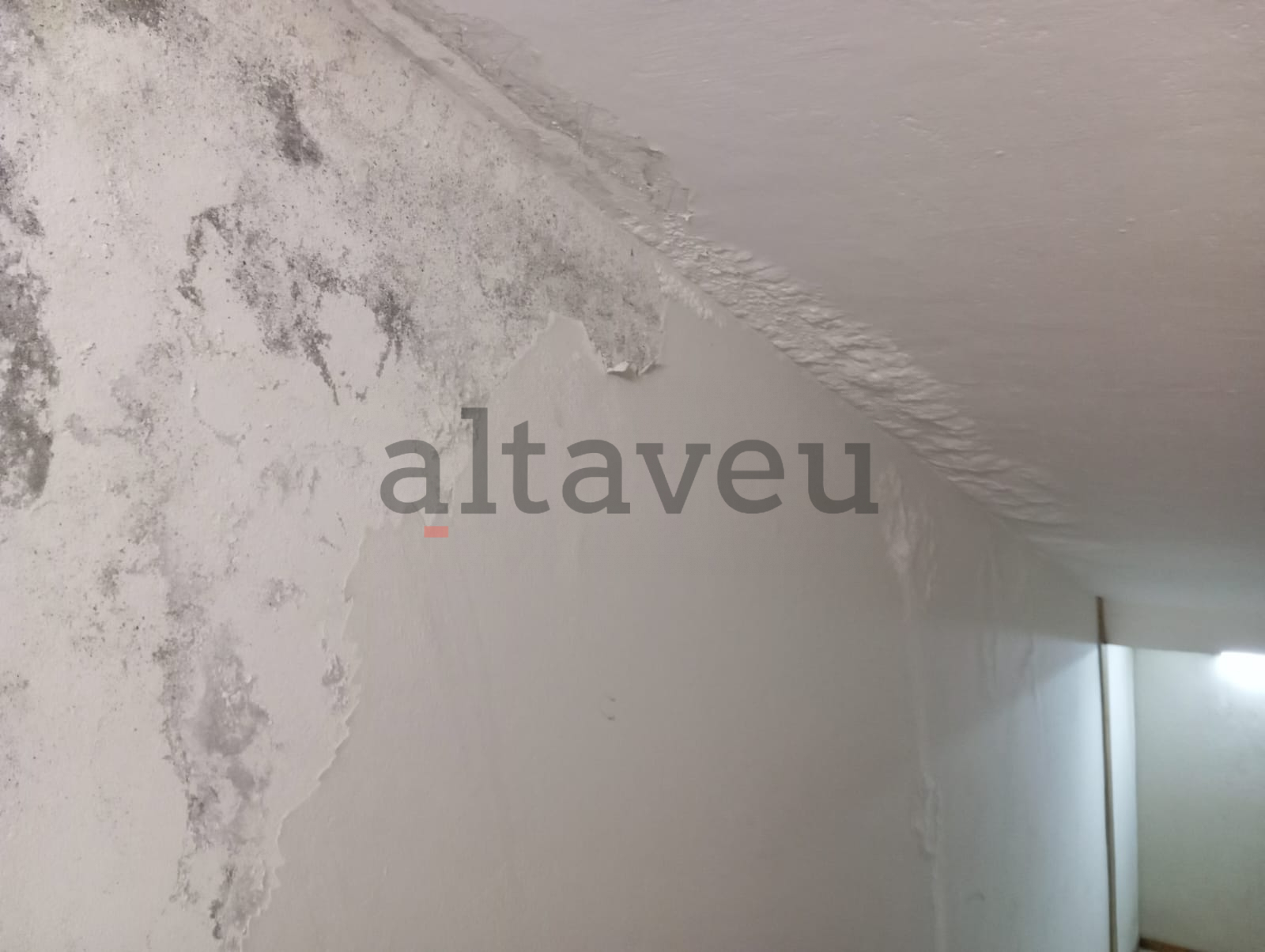 Humitats en un dels replans.