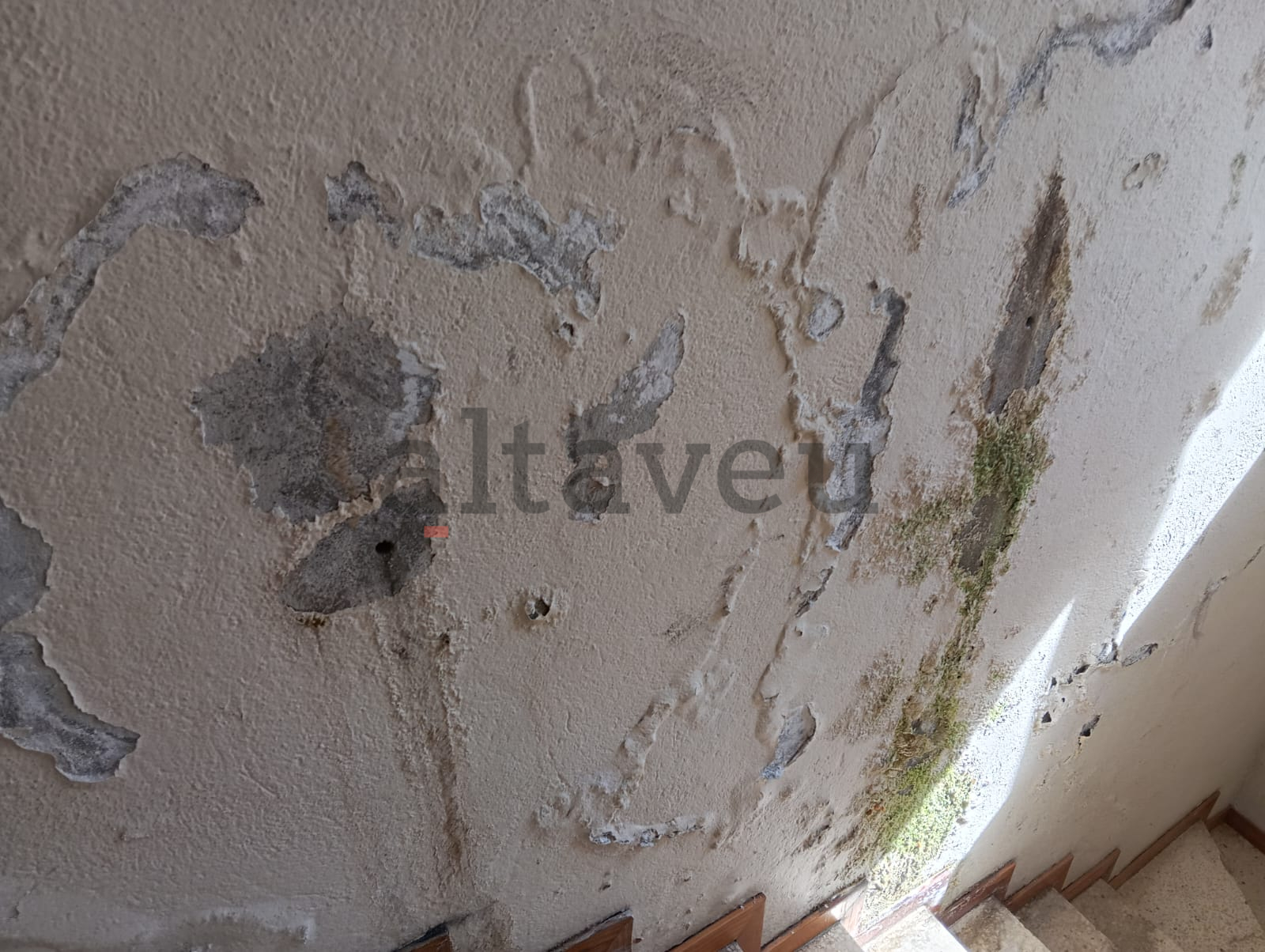 Humitats en un dels replans.