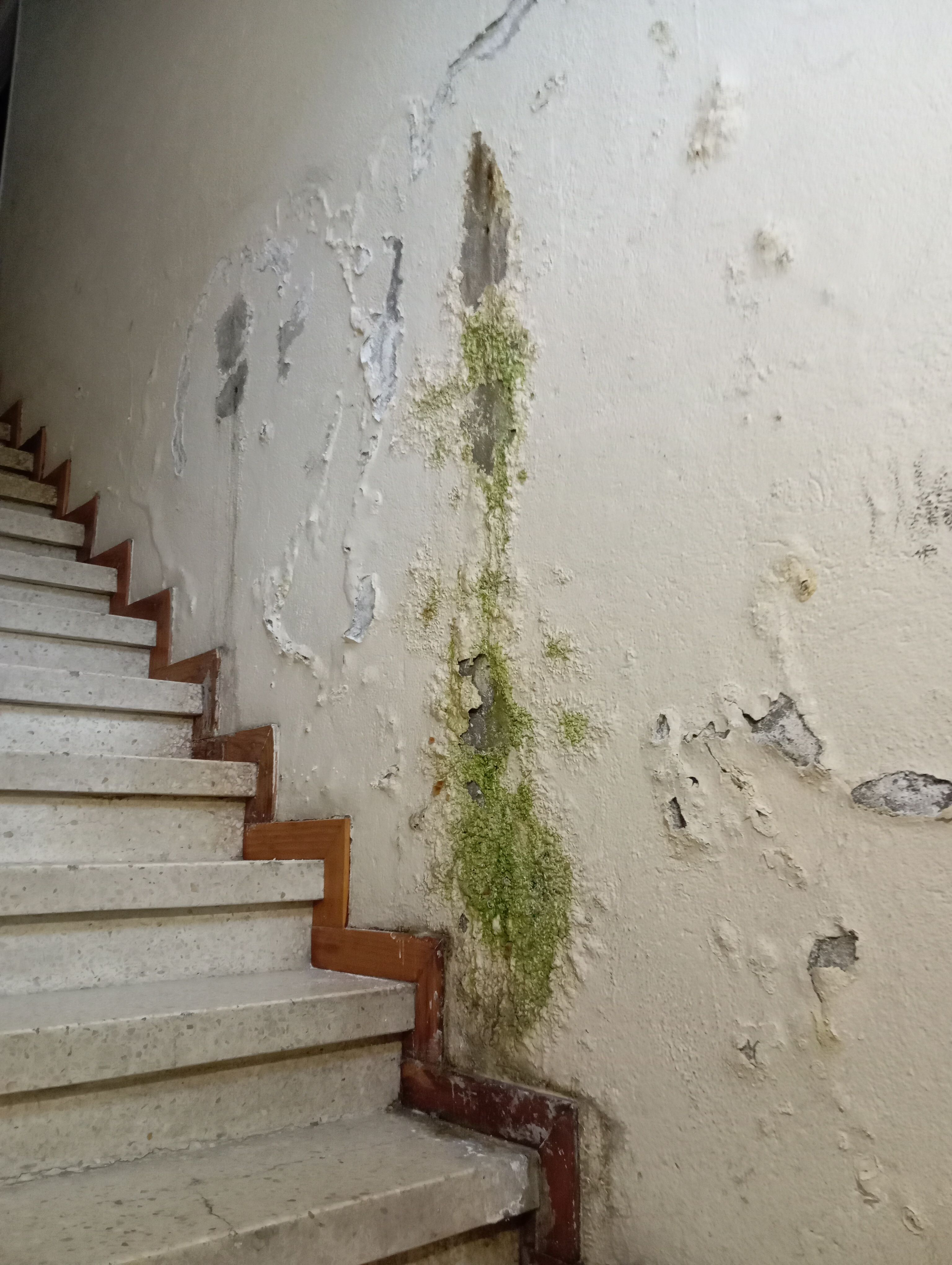 Estat d'un dels replans.