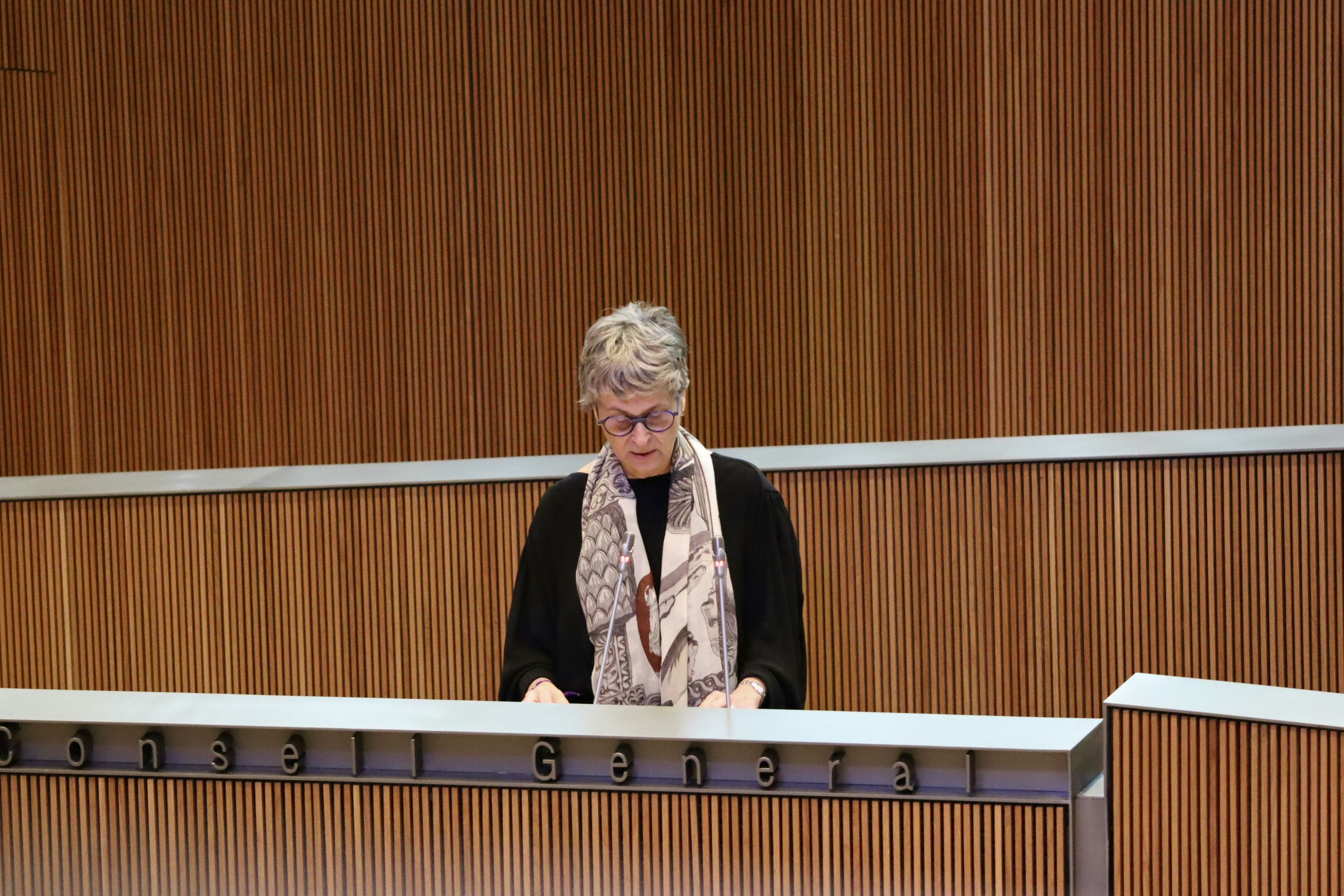 La presidenta i consellera general del grup parlamentari socialdemòcrata, Susanna Vela. La presidenta i consellera general del grup parlamentari socialdemòcrata, Susanna Vela.