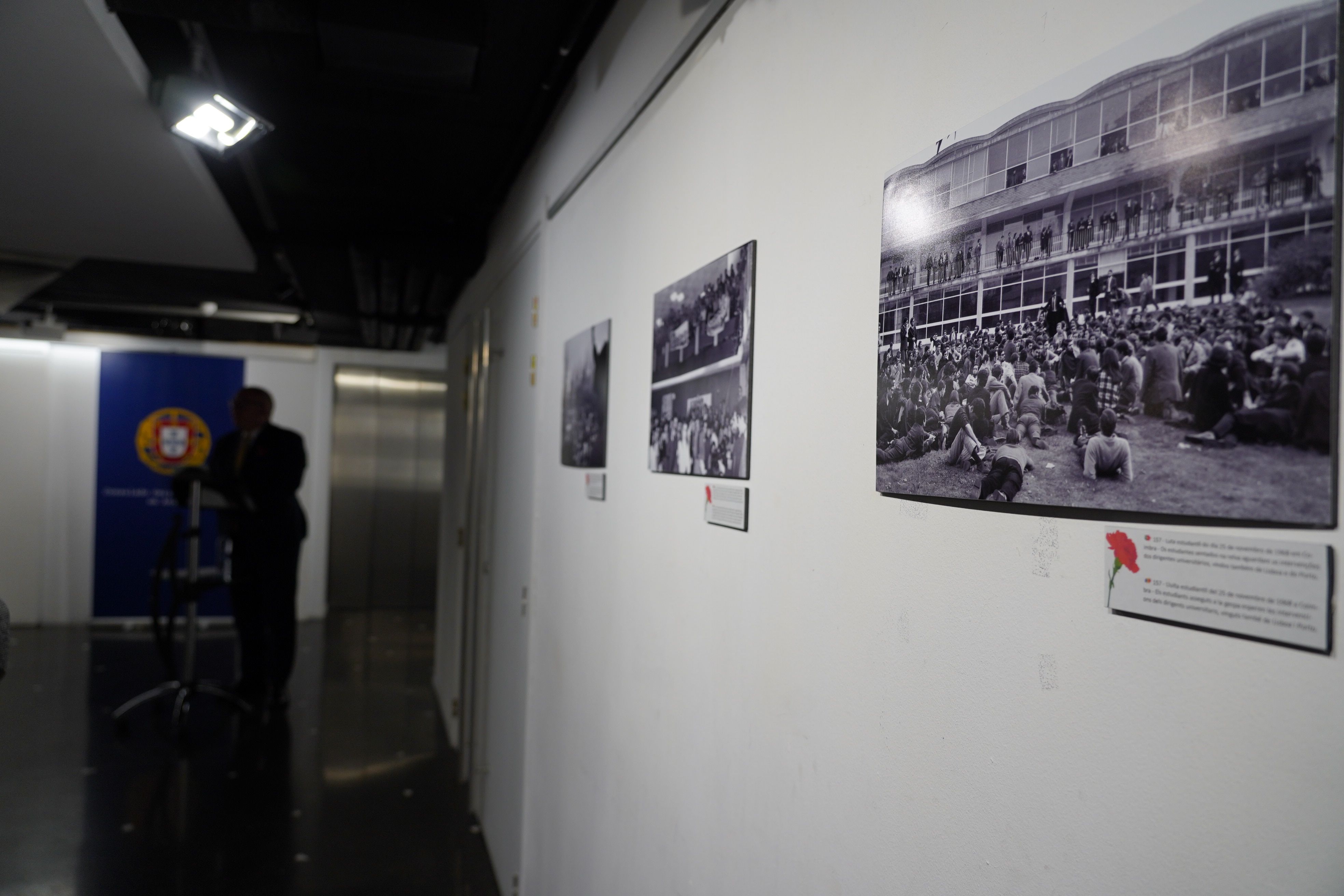 Algunes de les imatges seleccionades.