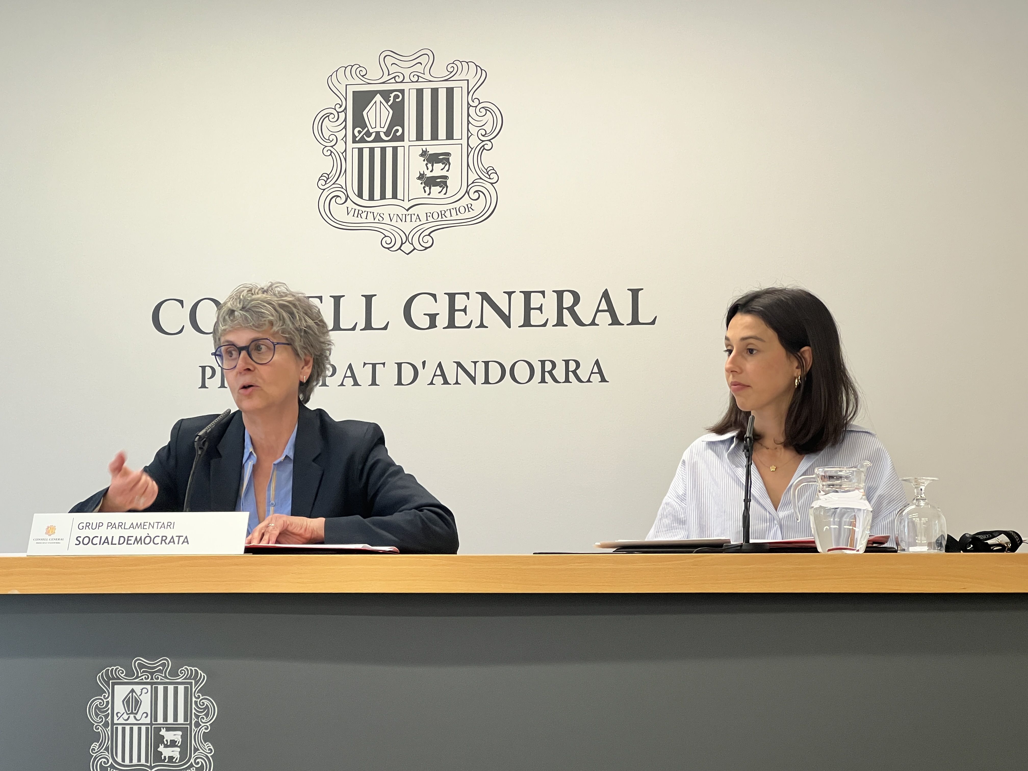 Susanna Vela i Laia Moliné durant la compareixença per exposar les esmenes al projecte de llei de modificació del Codi penal. Susanna Vela i Laia Moliné durant la compareixença per exposar les esmenes al projecte de llei de modificació del Codi penal.