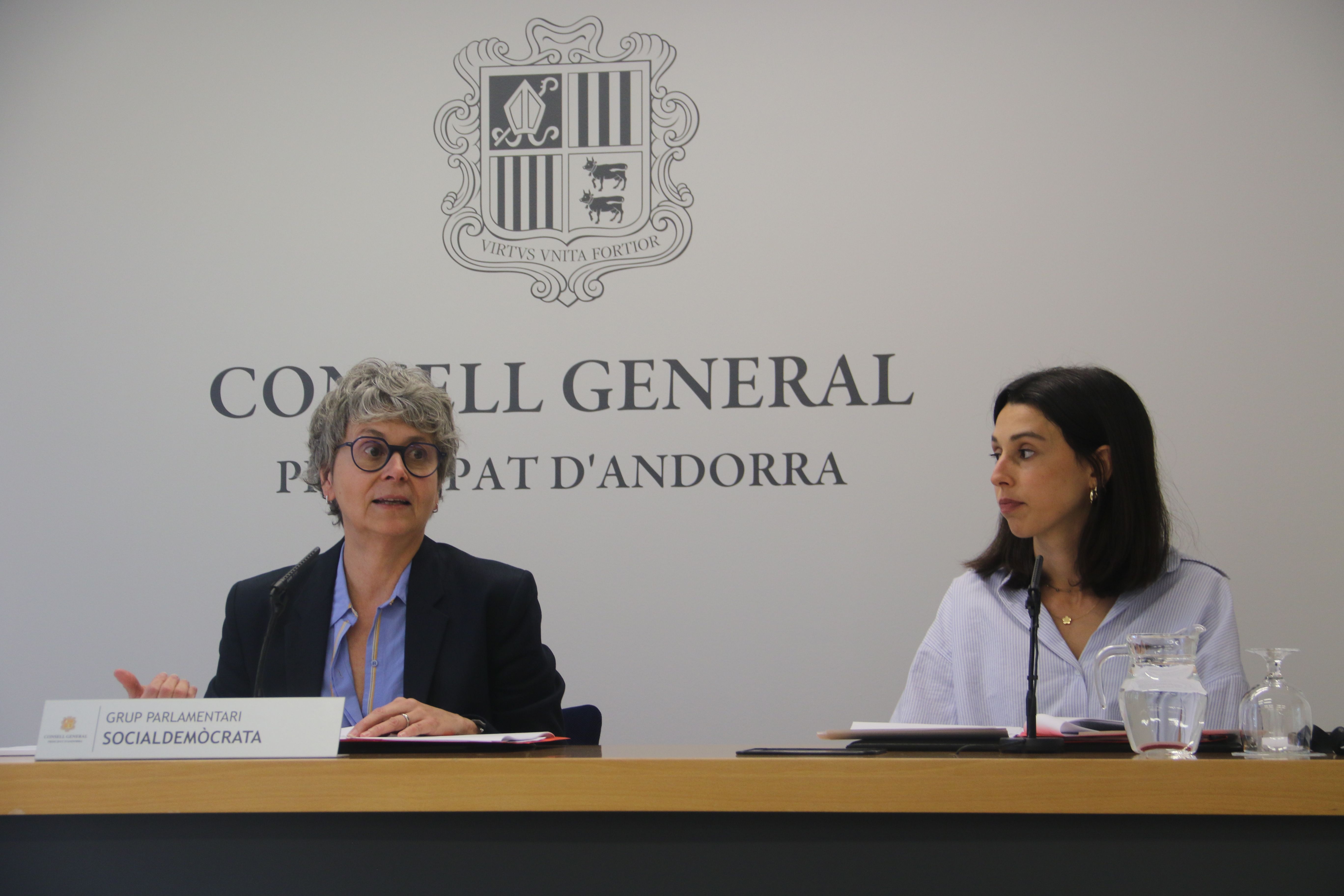 Susanna Vela i Laia Moliné han presentat les esmenes.