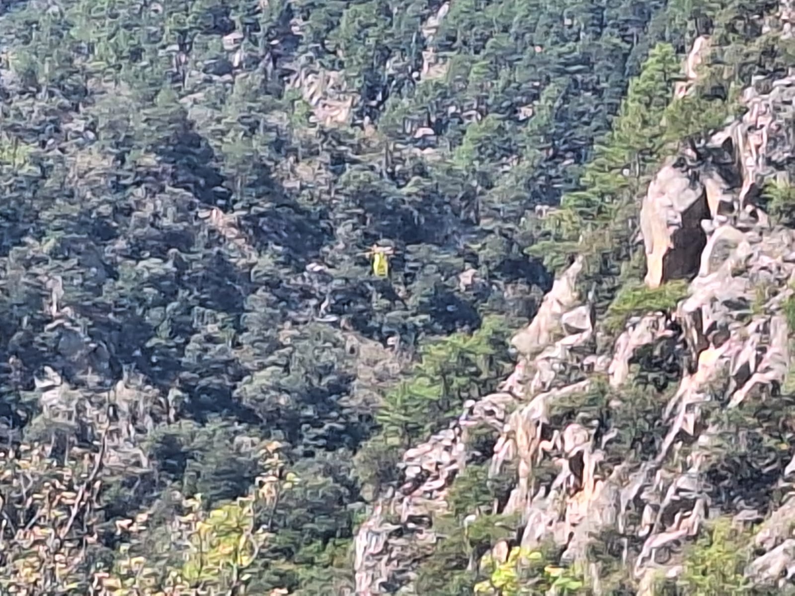 La portaveu del Sindicat, Rebeca Bonache.