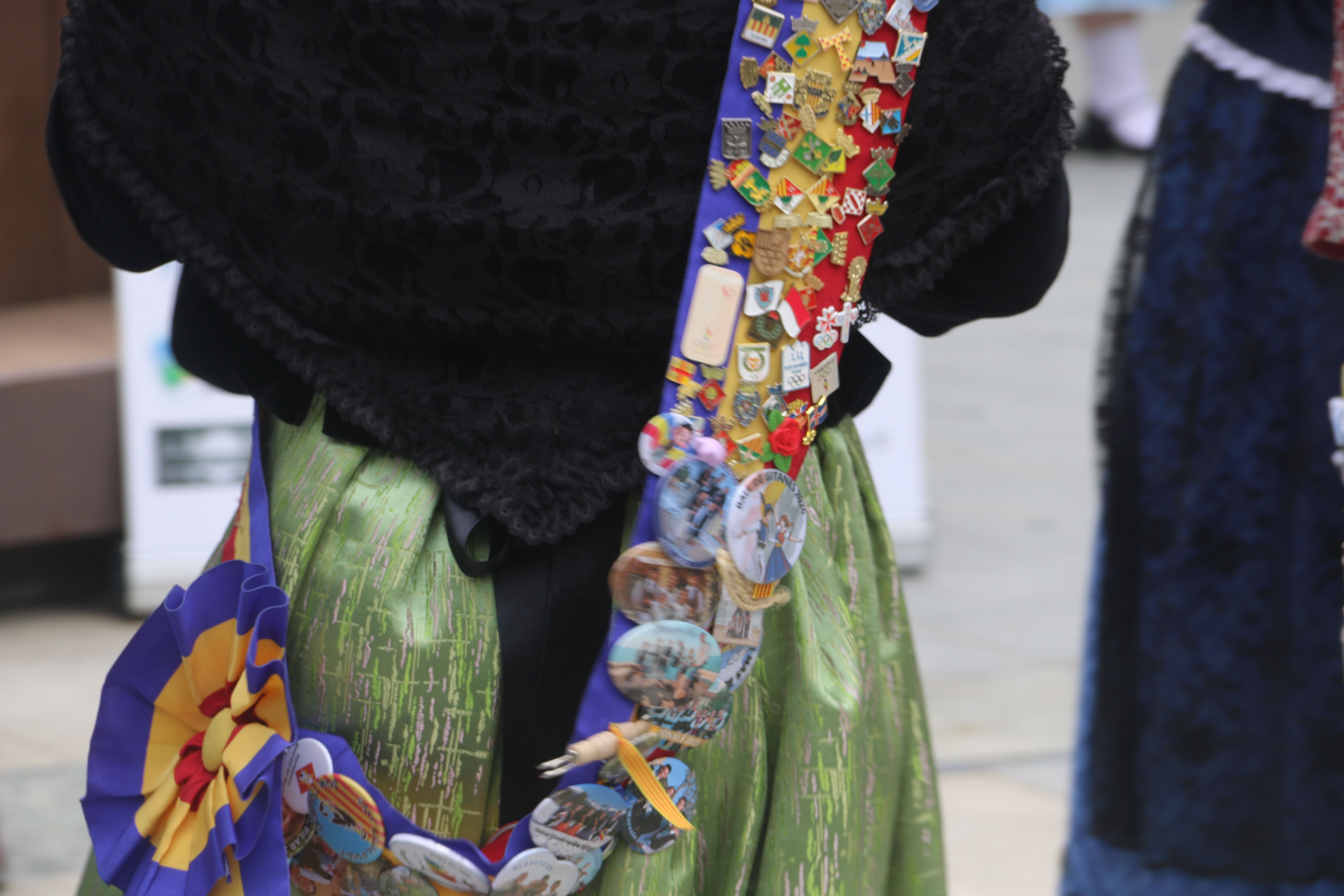 Pins i escuts en la banda de la pubilla. 