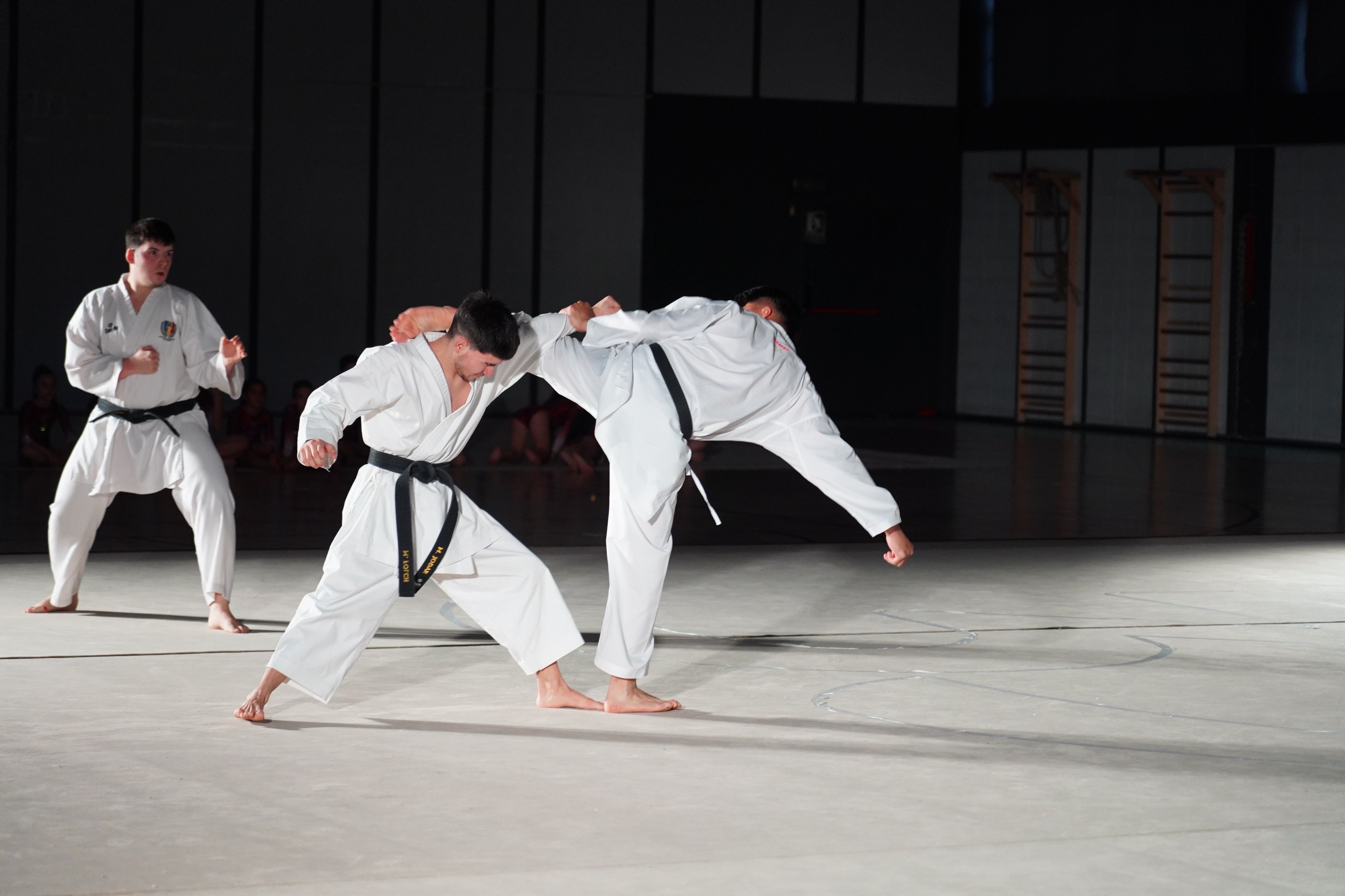 Un moment de l'exhibició.