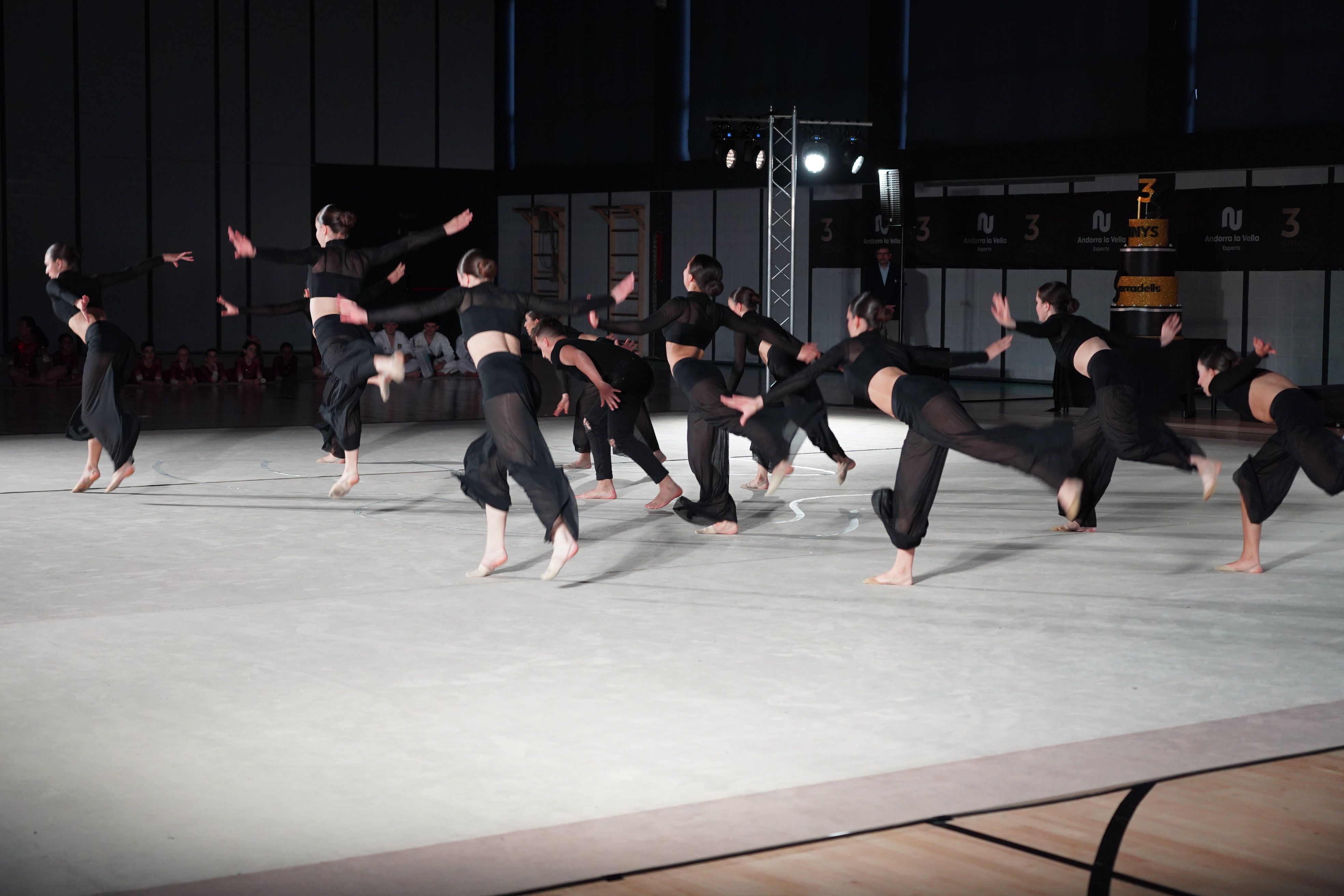 Exhibició del Club rítmica Valira.