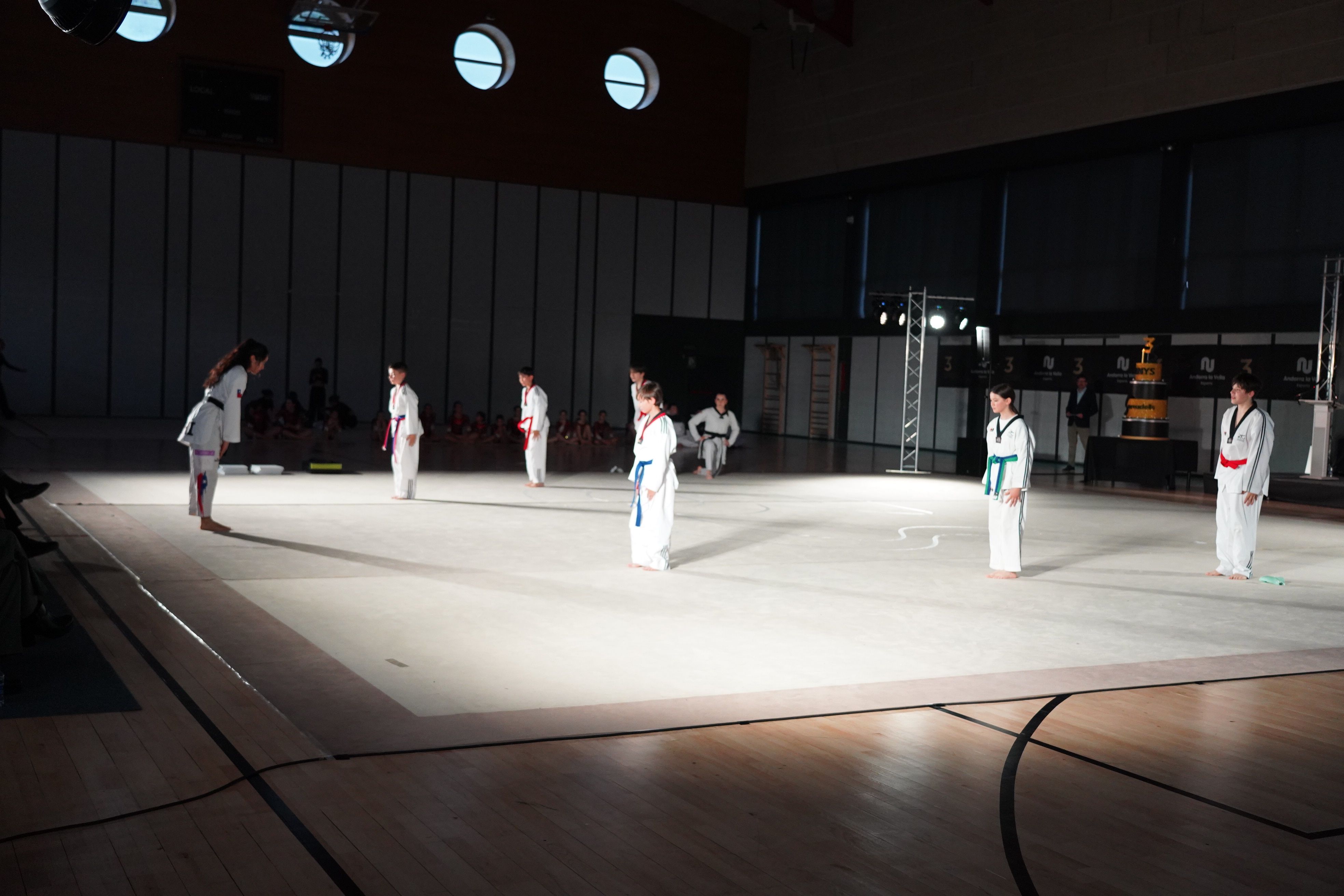 Exhibició de taekwondo.