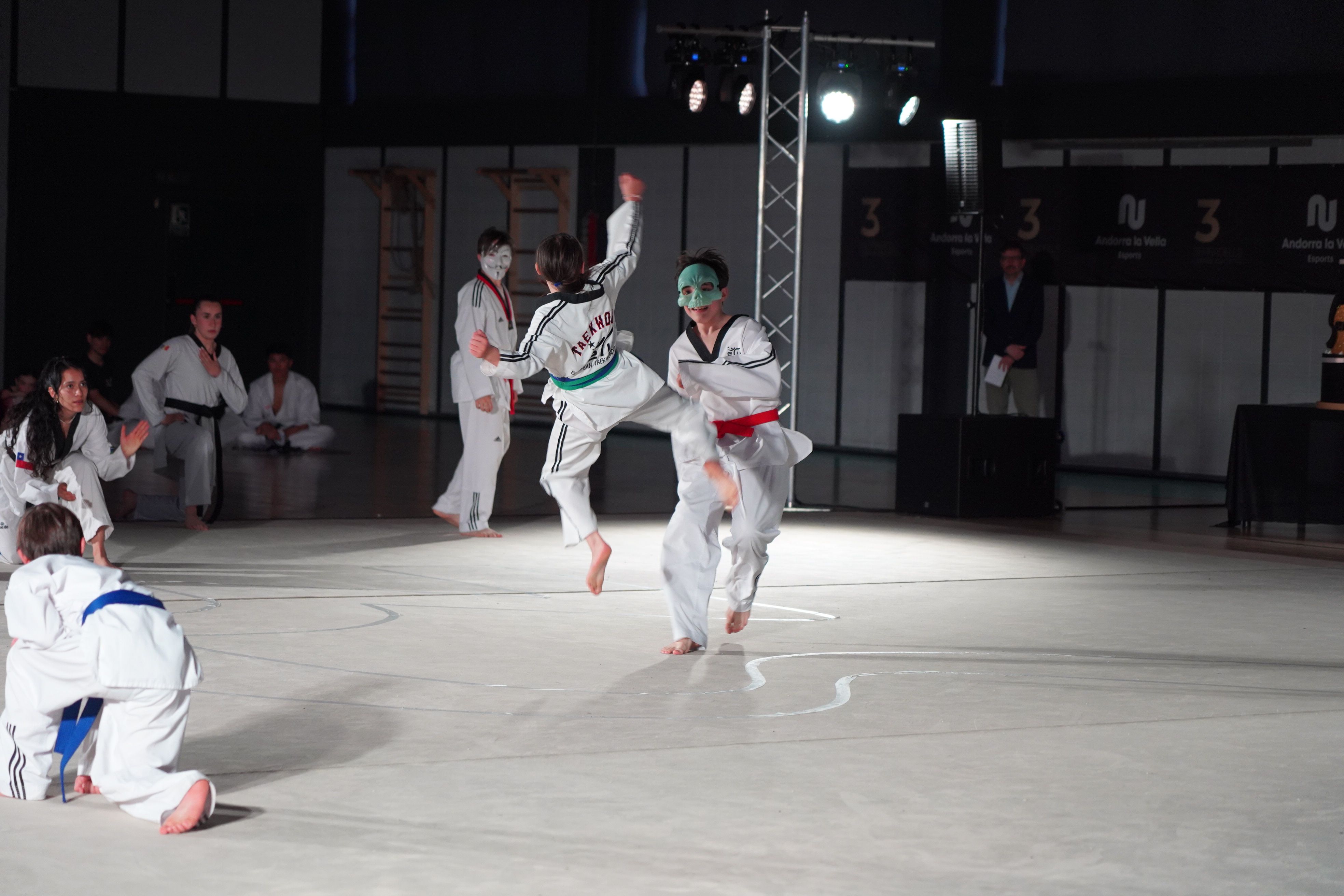 Un moment de l'exhibició de taekwondo.