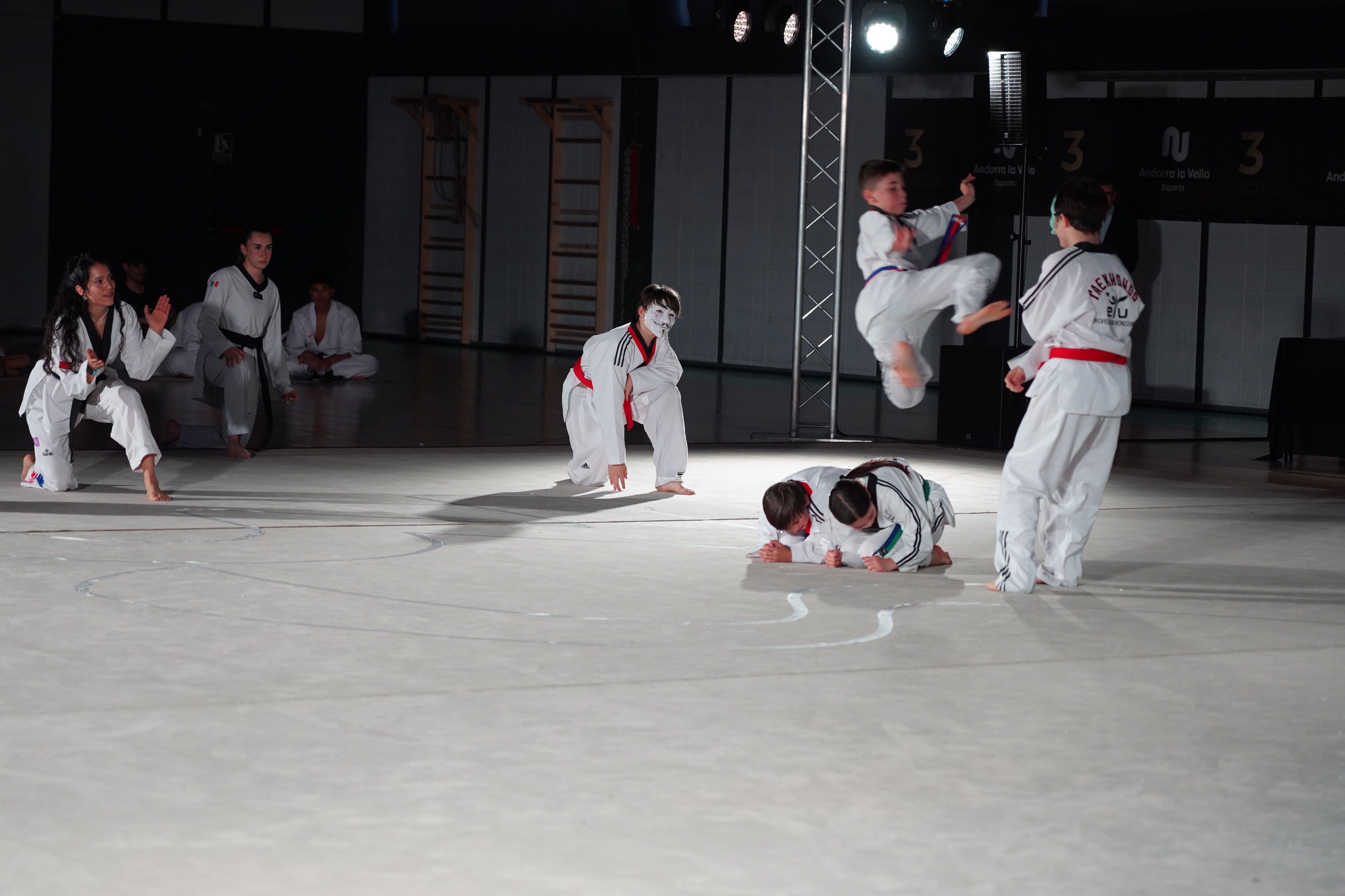 Un moment de l'exhibició de taekwondo.
