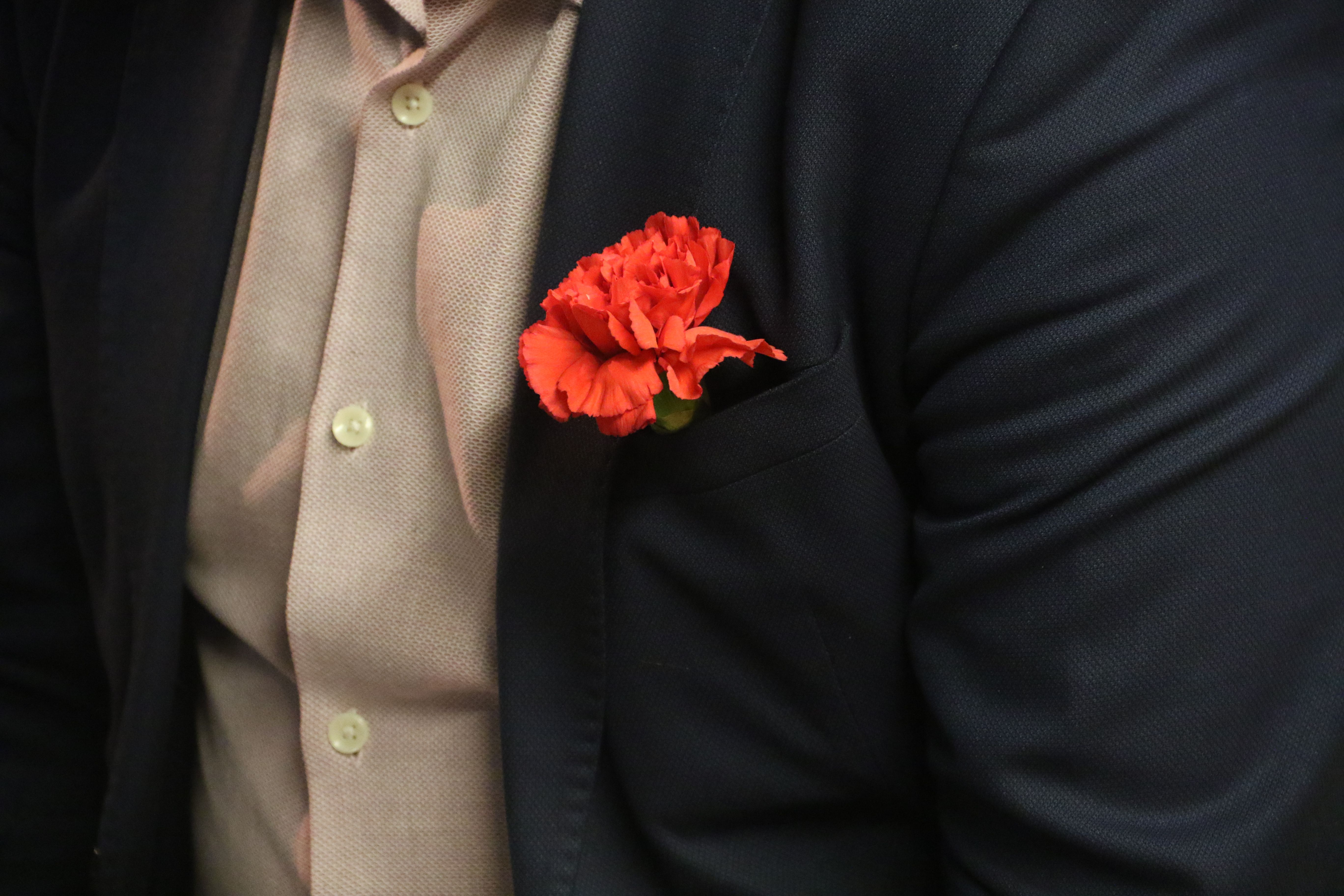 Un dels clavells que han lluit a la sala.