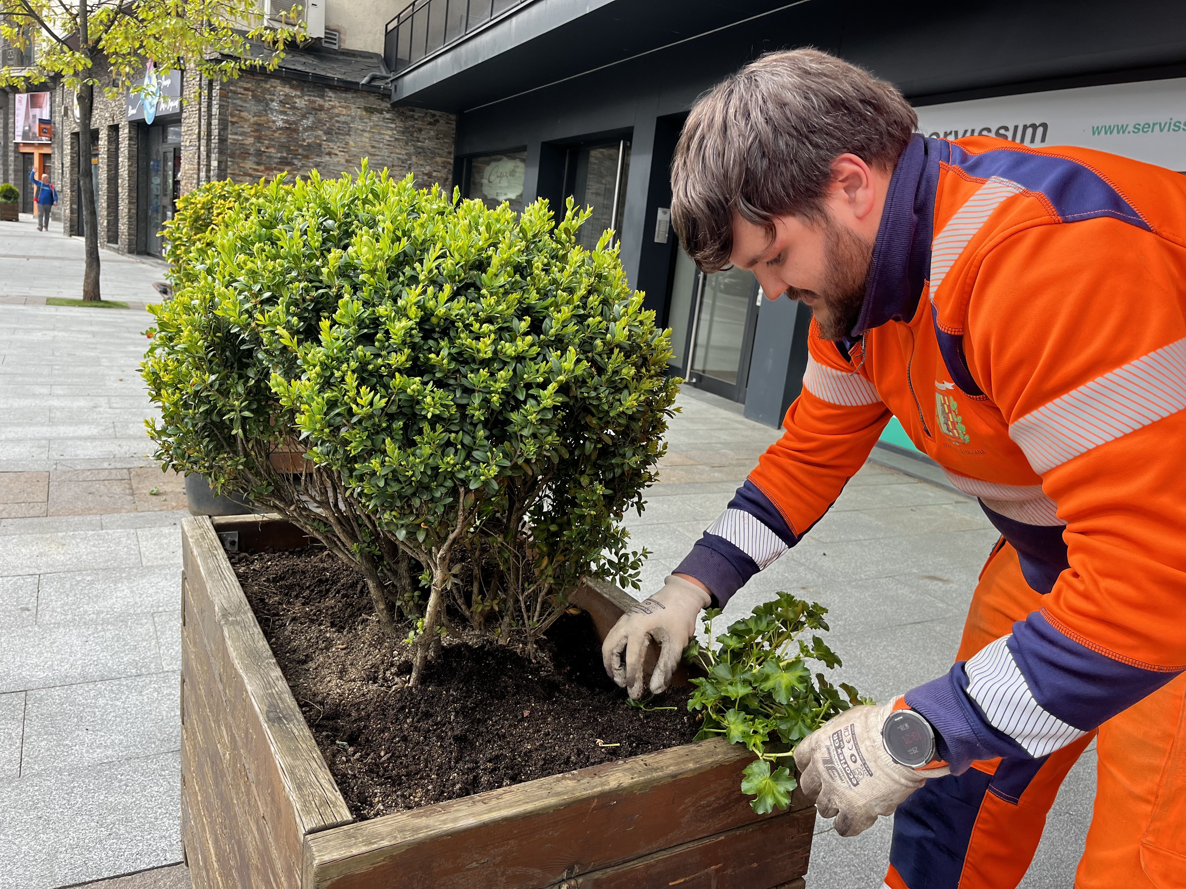 La Massana enceta la campanya d’enjardinament de la parròquia per rebre l’Andoflora.