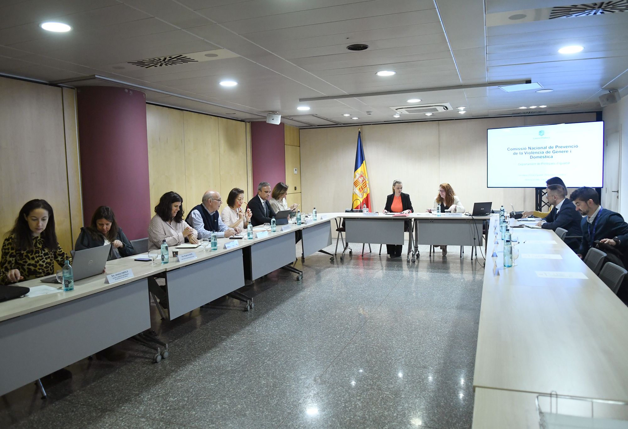 Reunió comissió Nacional prevenció de la violència de gènere i domèstica.