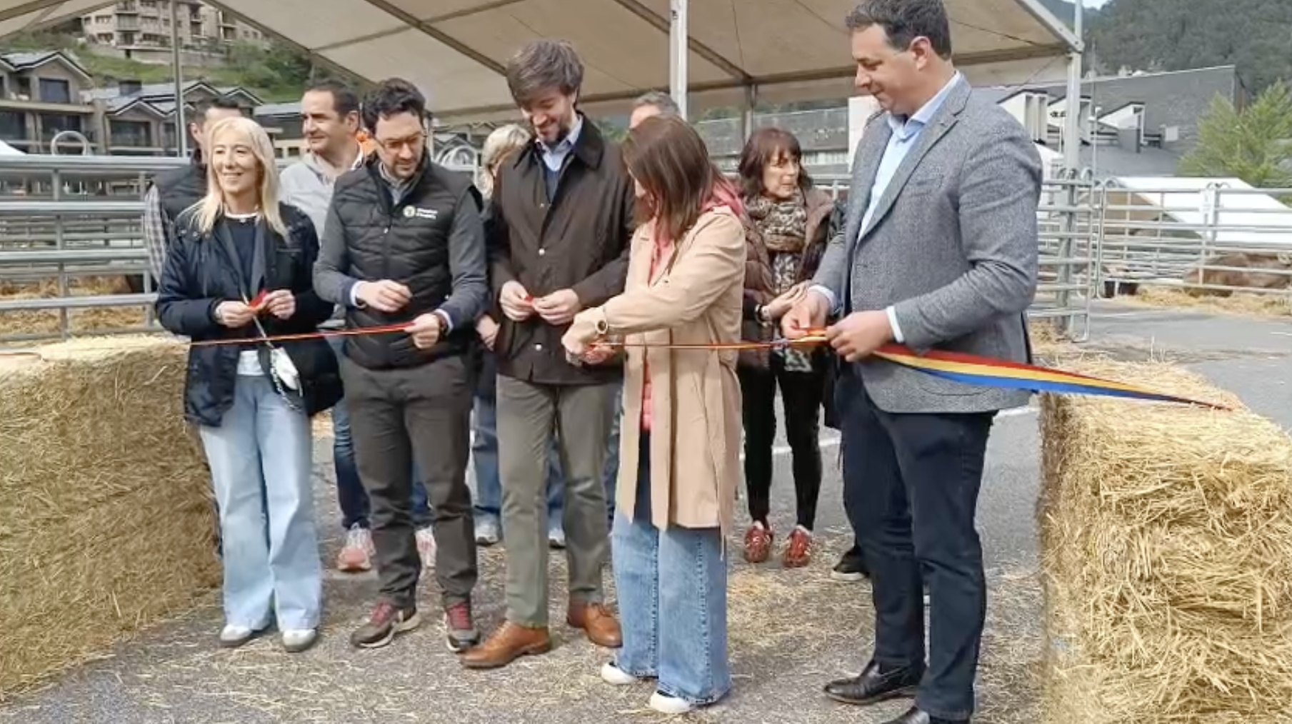 Tall de la cinta inaugural de la Fira del Bestiar d'Ordino.