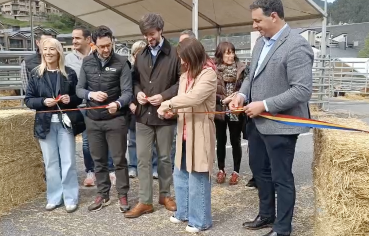 Agricultura aposta per la convivència de la fauna: "Hem de lamentar més danys de gossos que d'ossos"