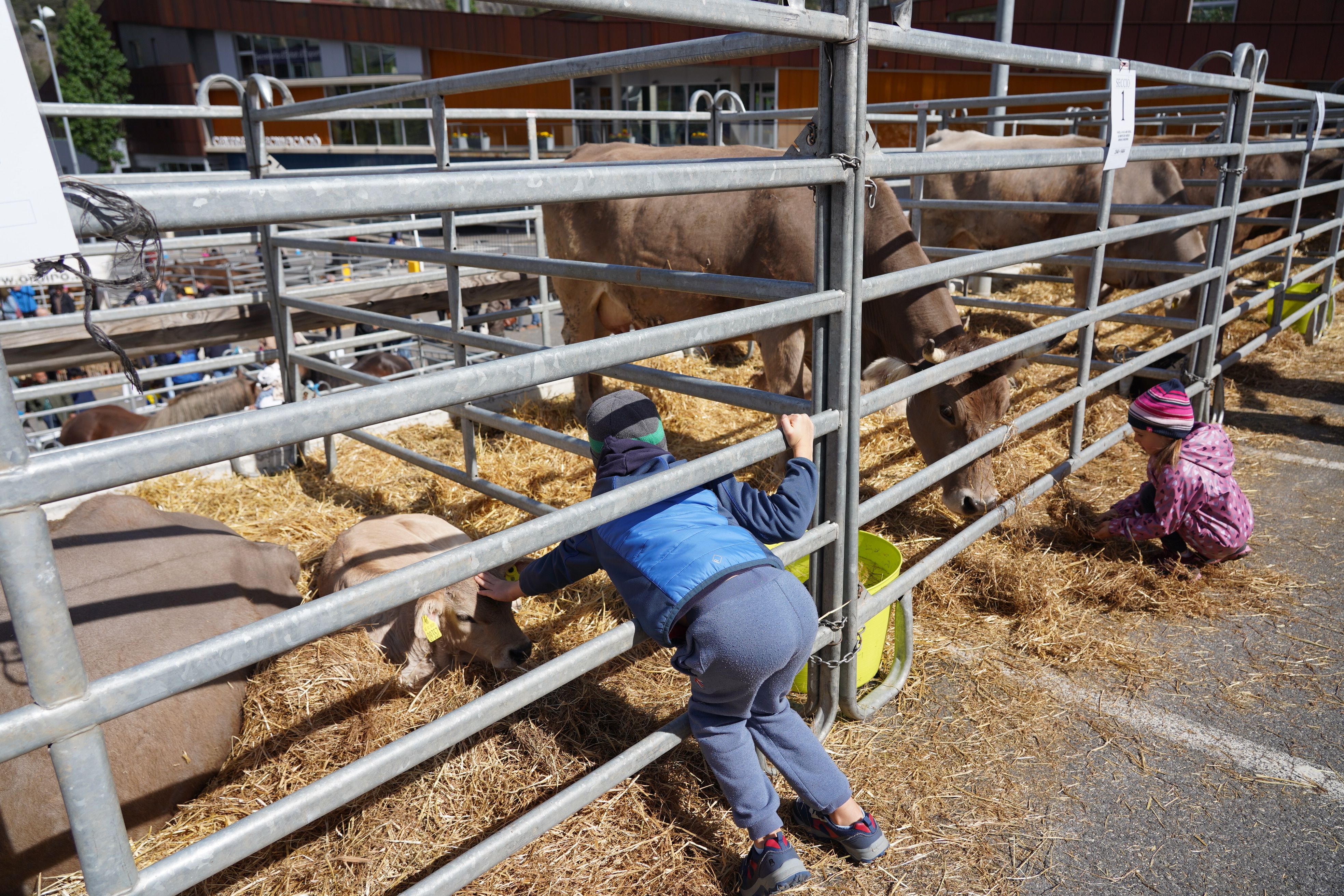Els més petits han mostrat molta curiositat cap als animals.