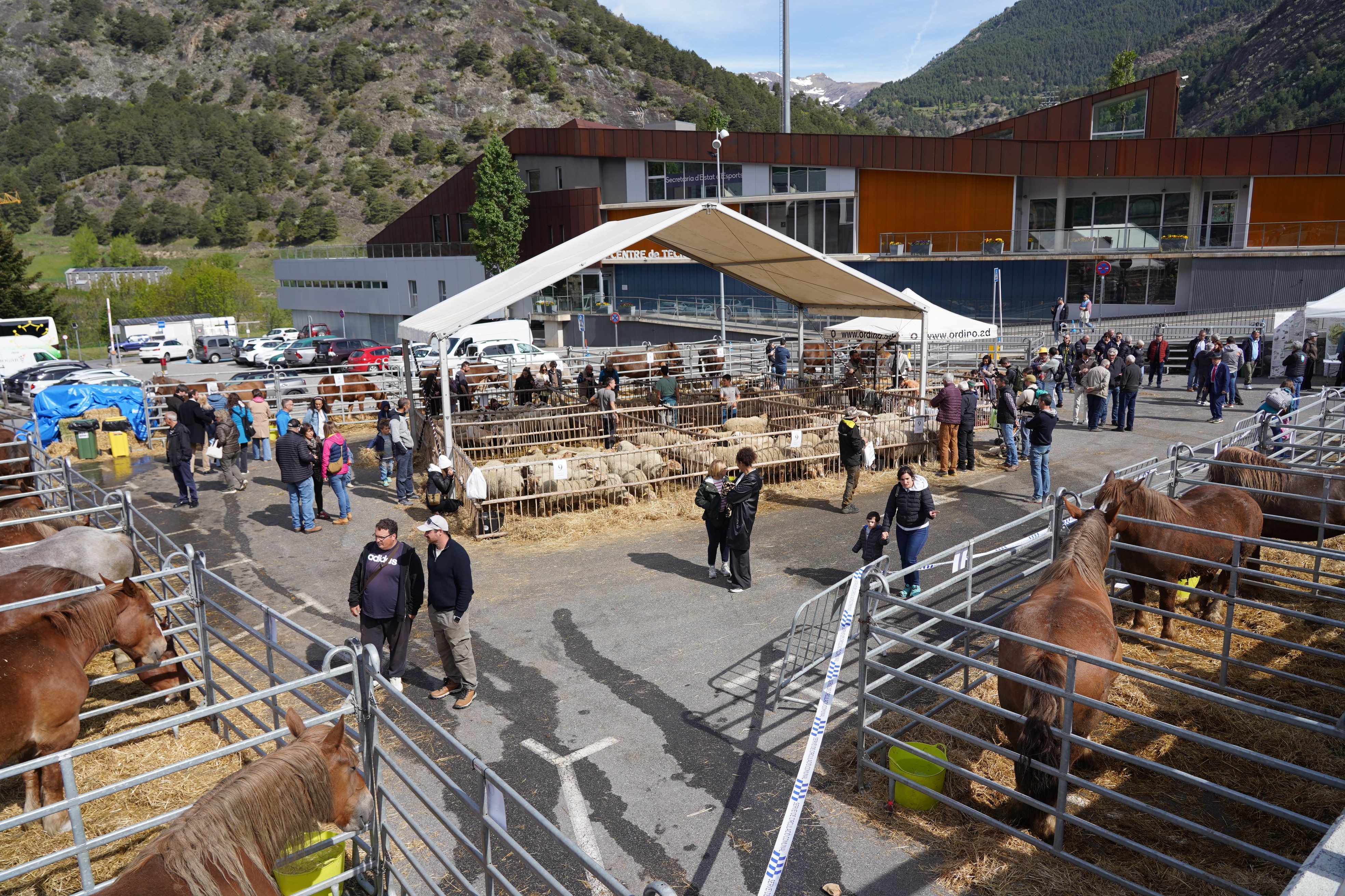 Assistents a la Fira del Bestiar d'Ordino.