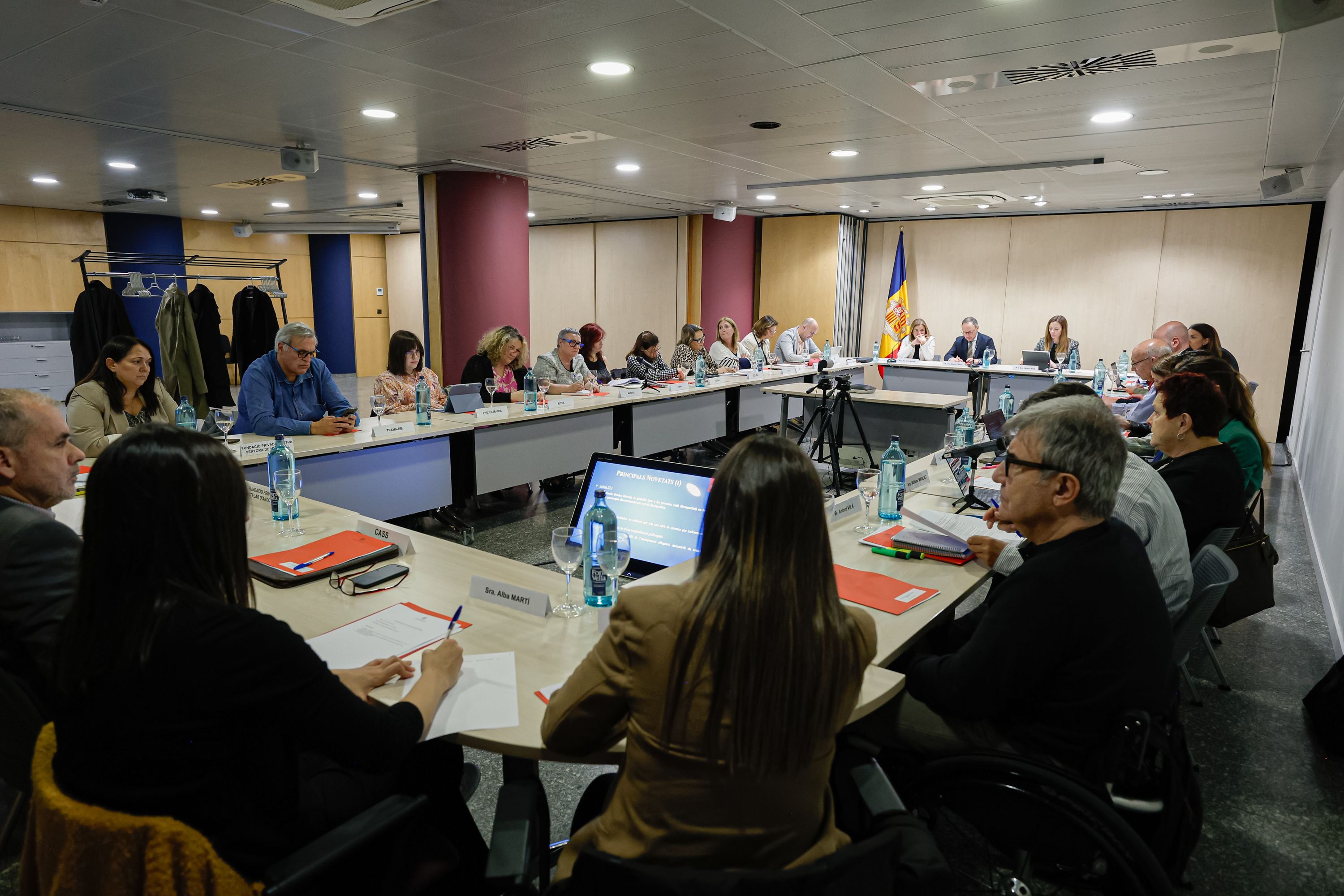Reunió extraordinària del Consell Nacional de la Discapacitat.