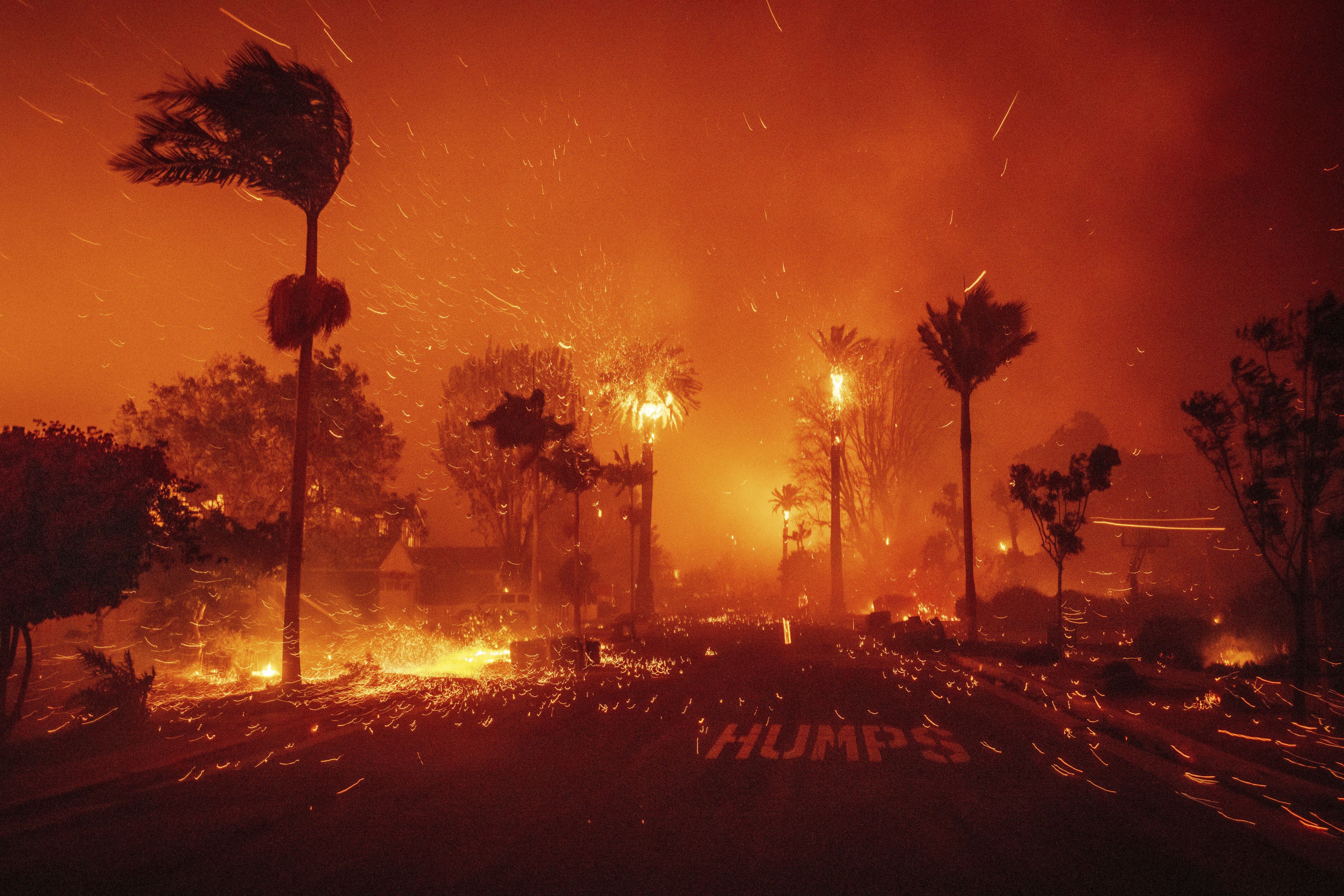 Una de les imatges de l'exposició. //  STO-Ethan Swope-for Associated Press