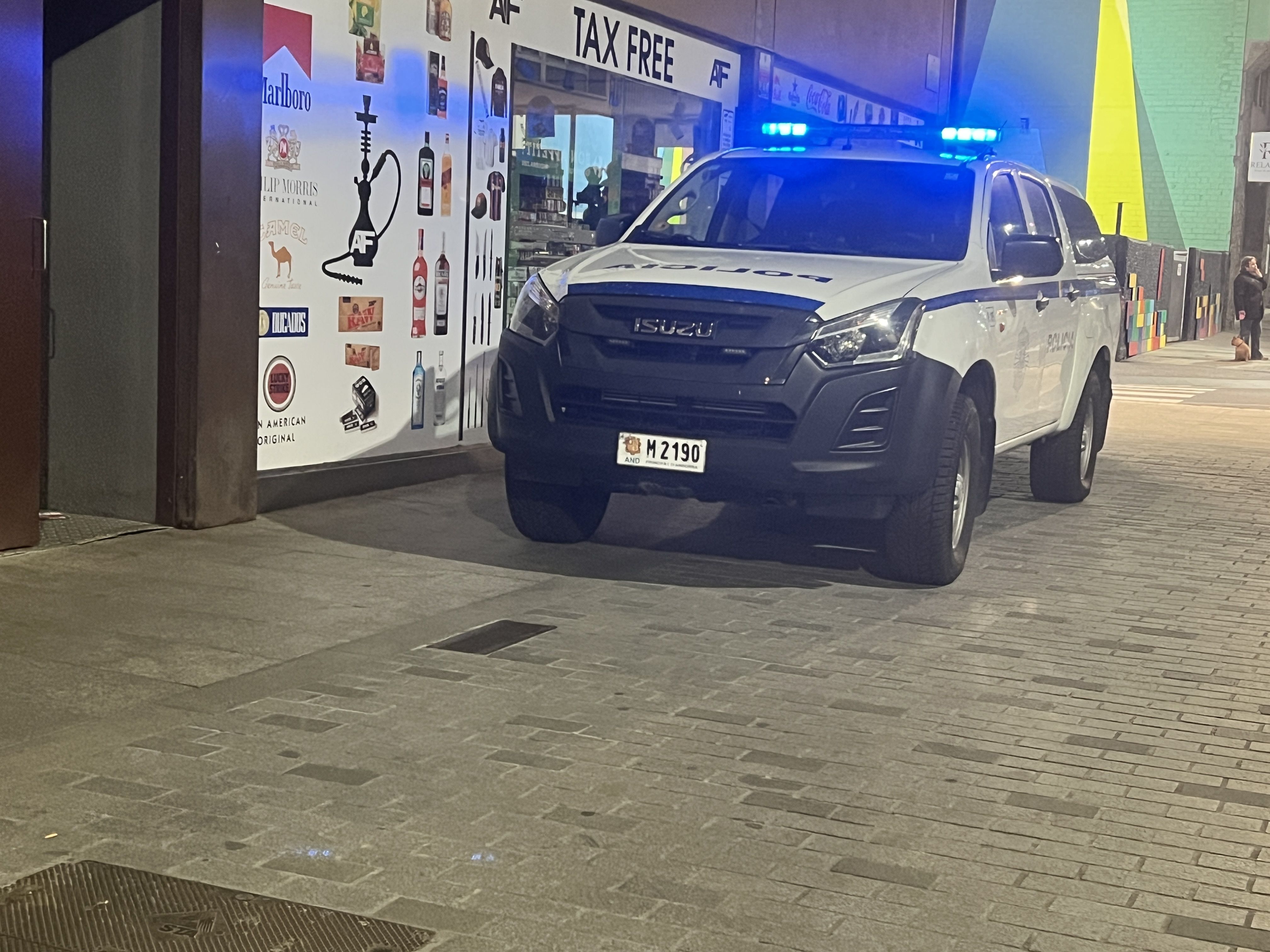 Un vehicle policial aquesta nit passada en les immediacions d'on s'estava fent l'actuació forense.