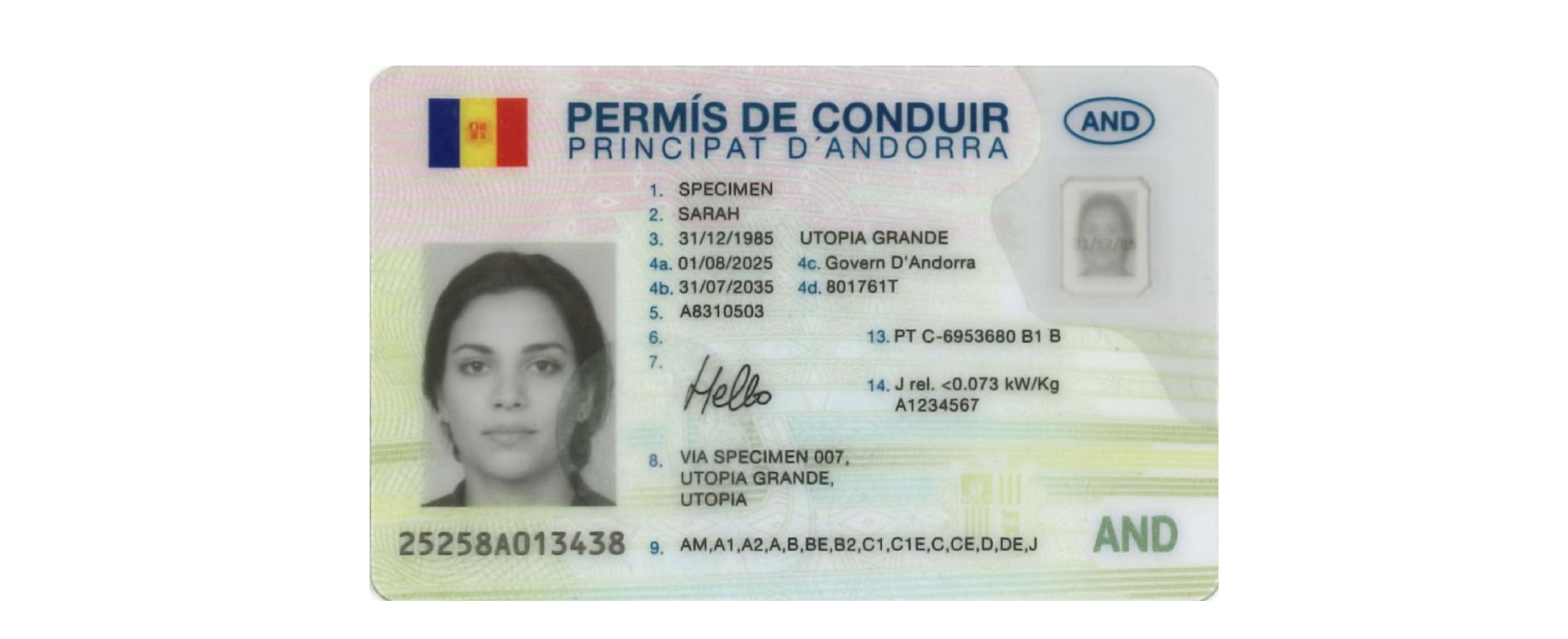 Una simulació d'un dels nous permisos de conduir. Una simulació d'un dels nous permisos de conduir.
