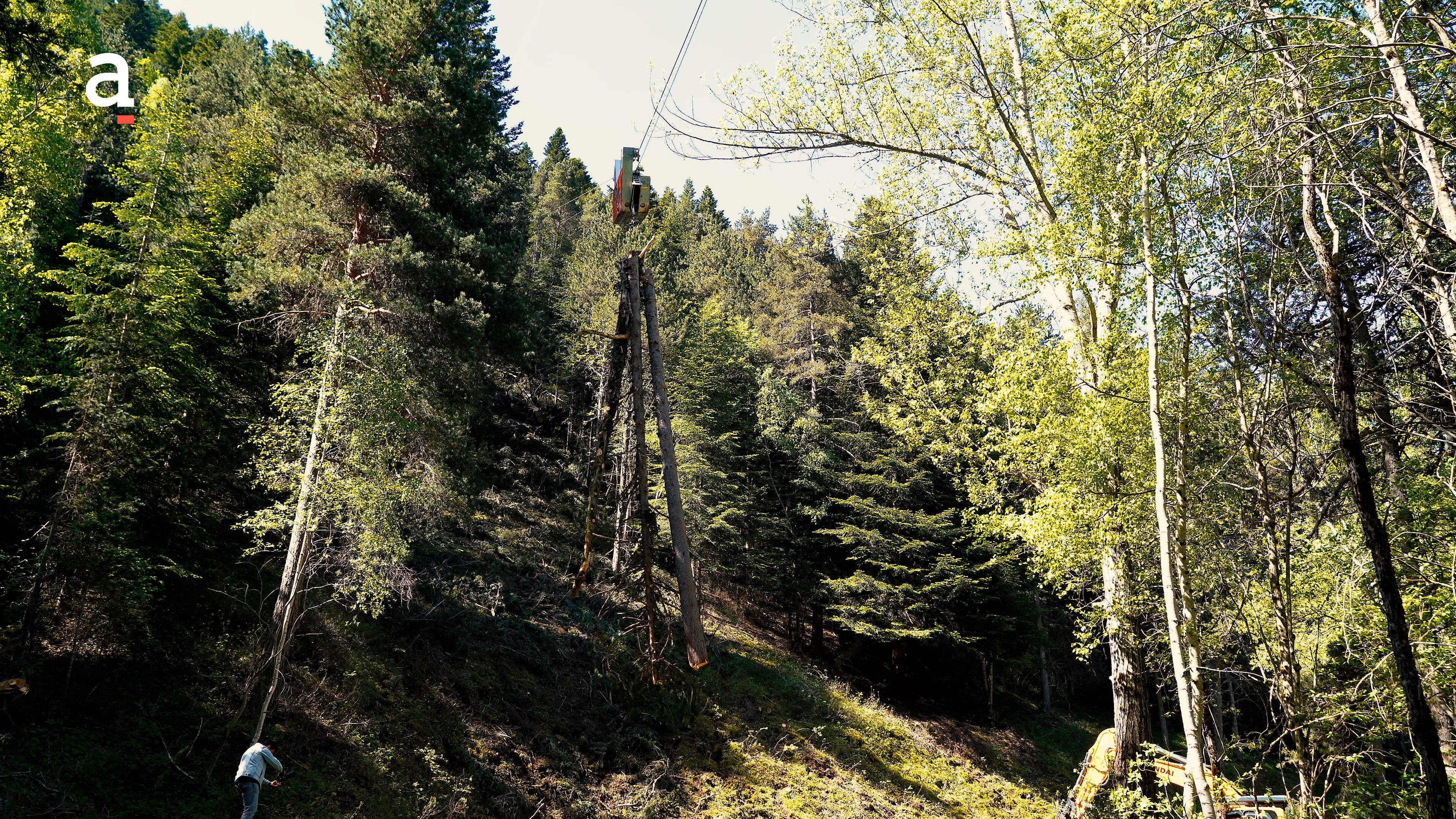Cable grua Ordino