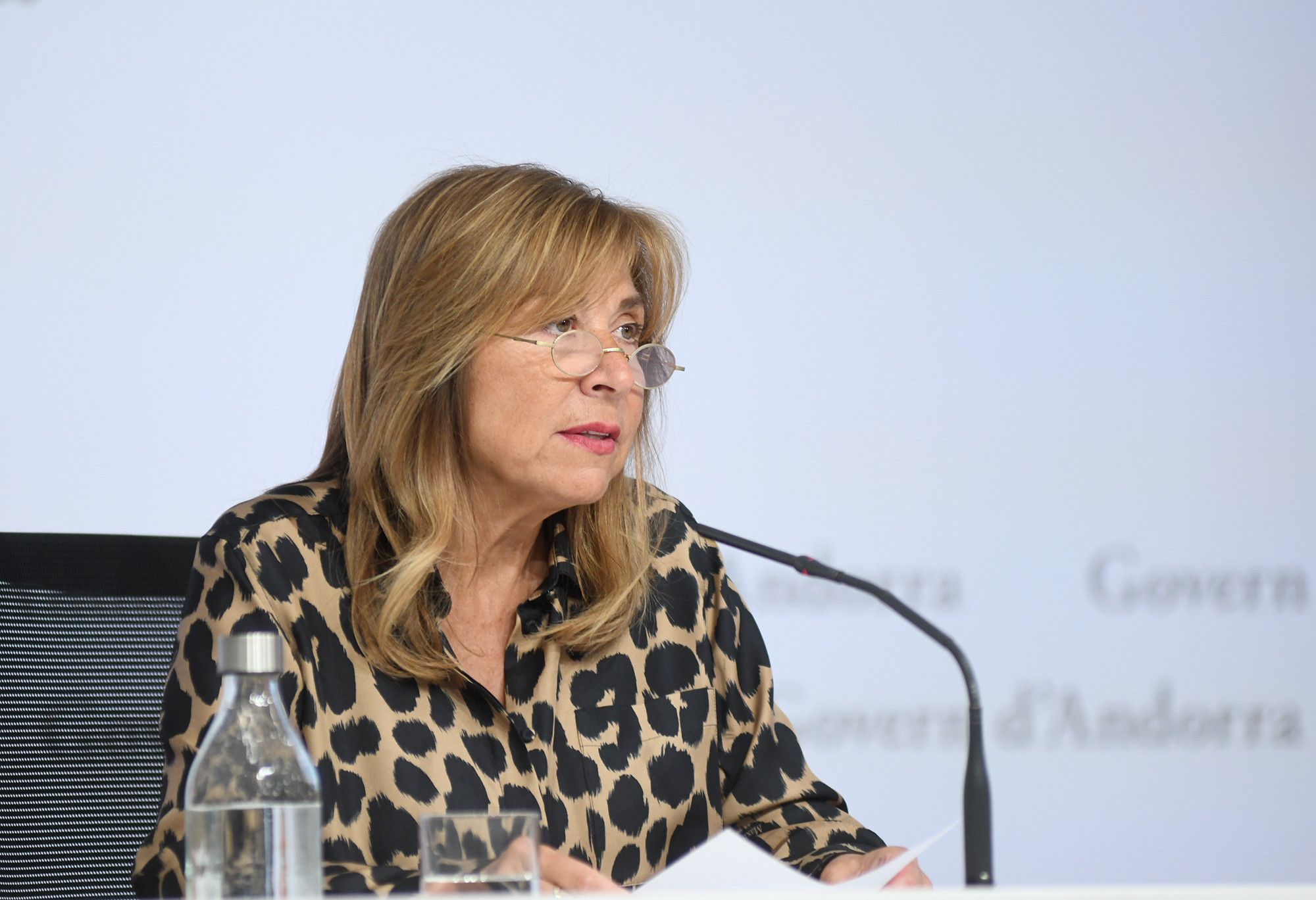 La ministra Conxita Marsol durant la roda de premsa d'aquest dimecres.