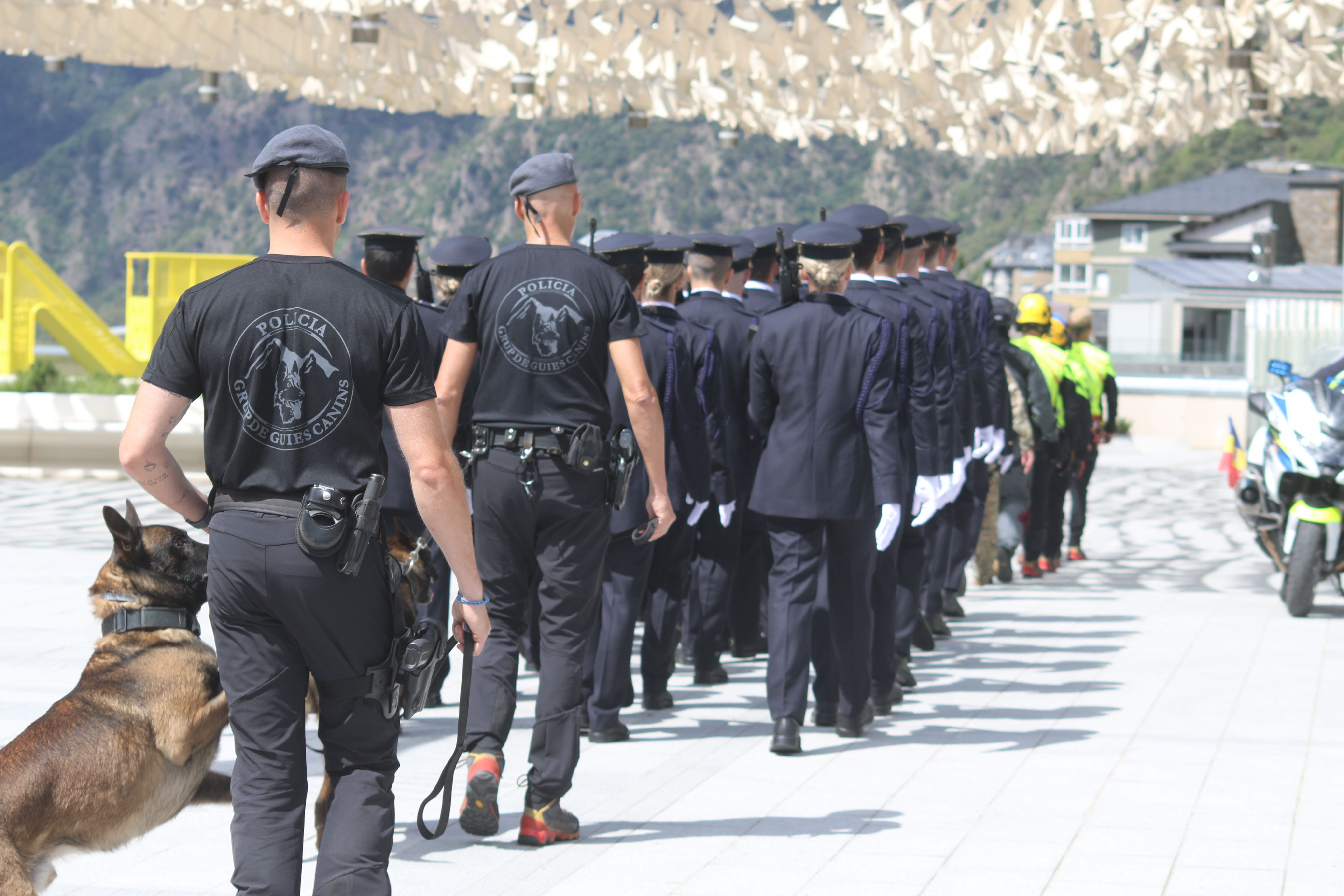 Imatge de l'actuació policial.