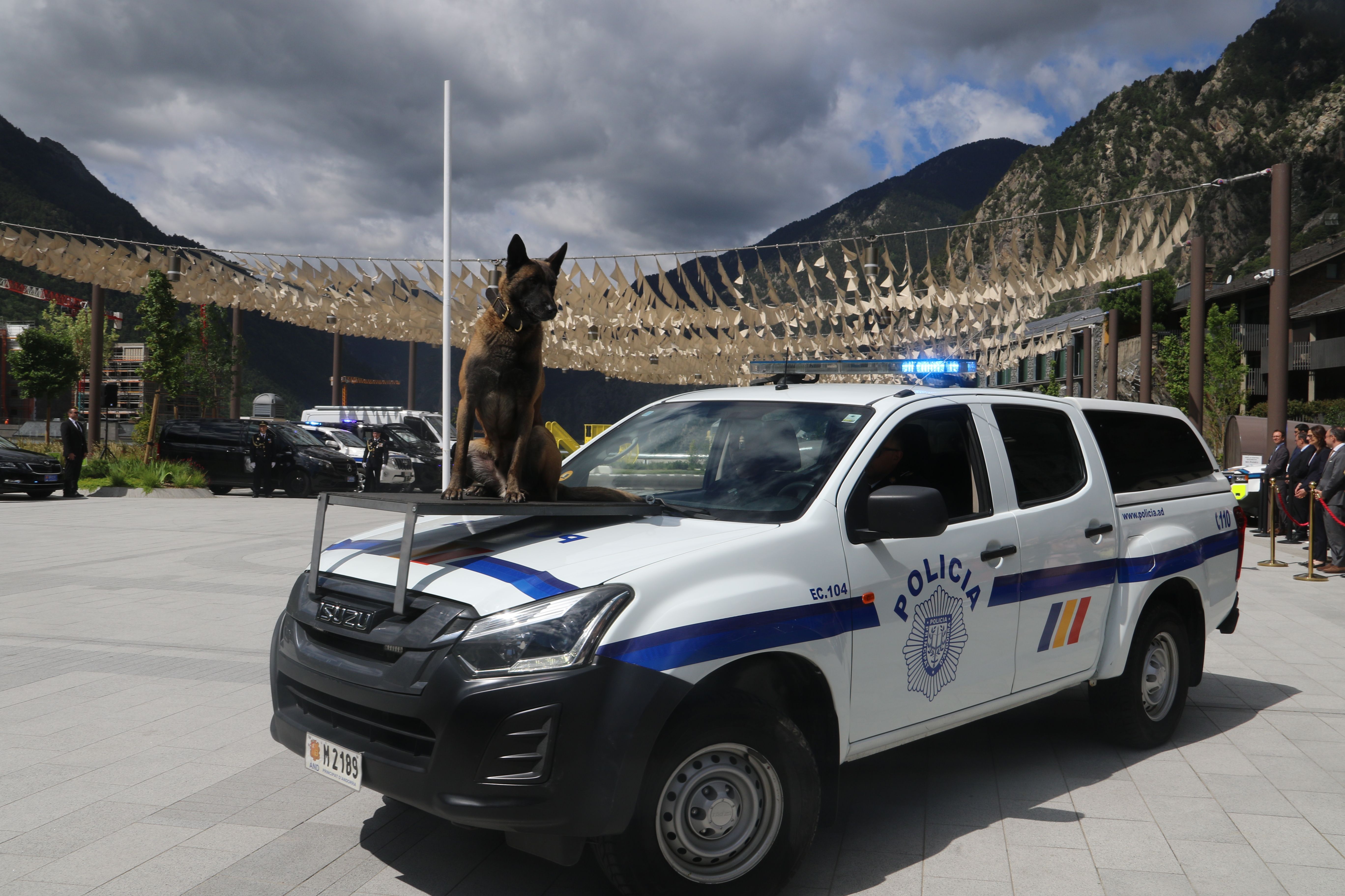 Imatge de l'actuació policial.