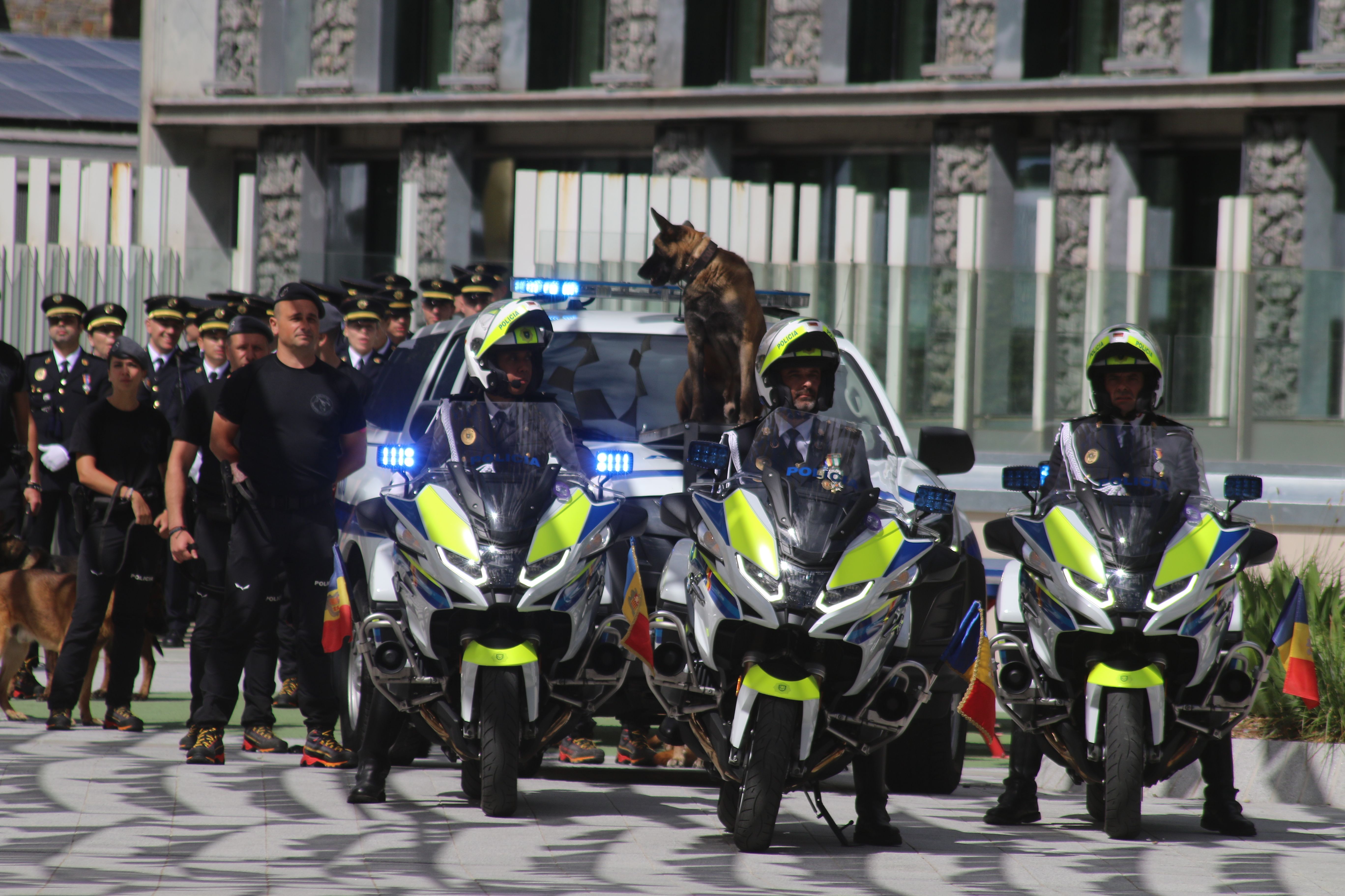 Imatge de l'actuació policial.