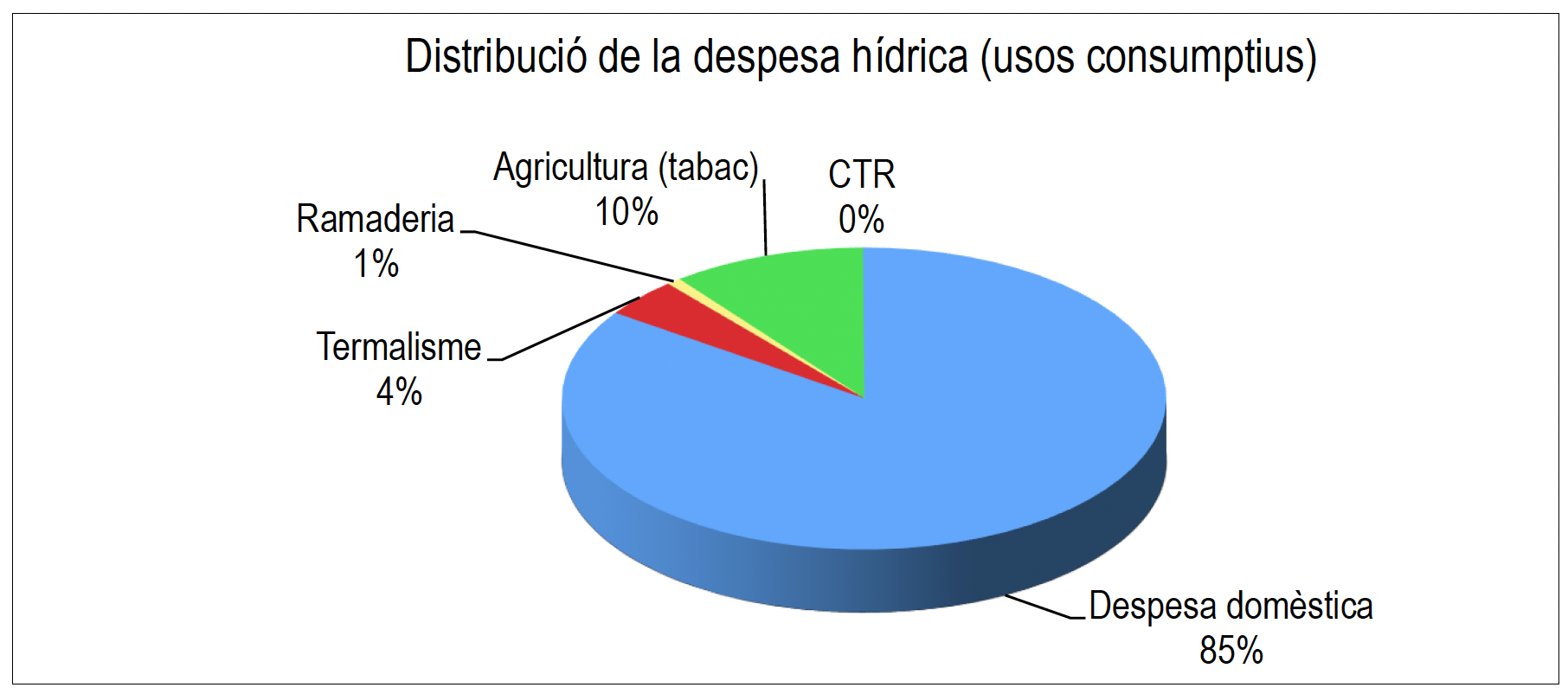 Distribució de la despesa hídrica en usos consumptius. La portaveu del Sindicat, Rebeca Bonache.