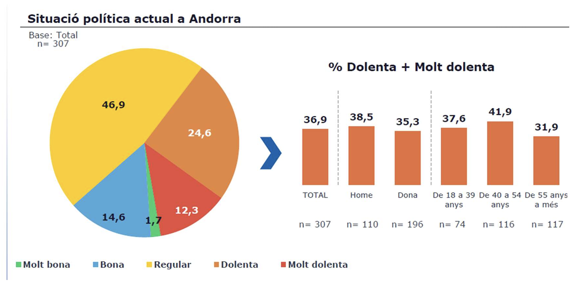 Situació política actual La portaveu del Sindicat, Rebeca Bonache.