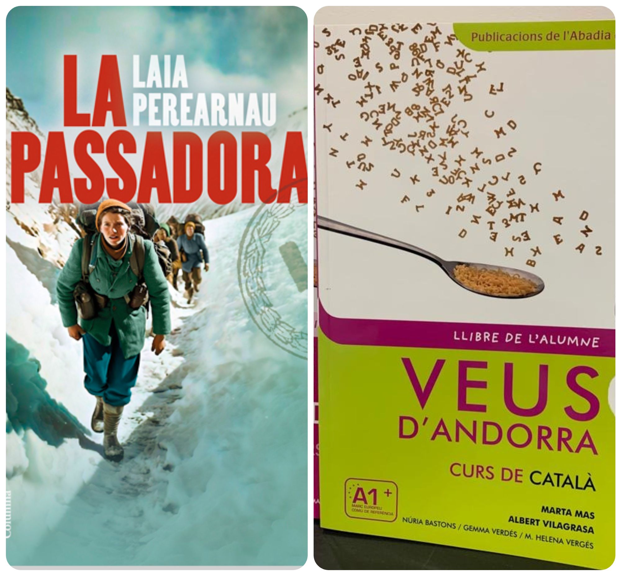 Aquests són dos dels llibres més prestats del 2025 pel que fa a la Biblioteca Nacional.