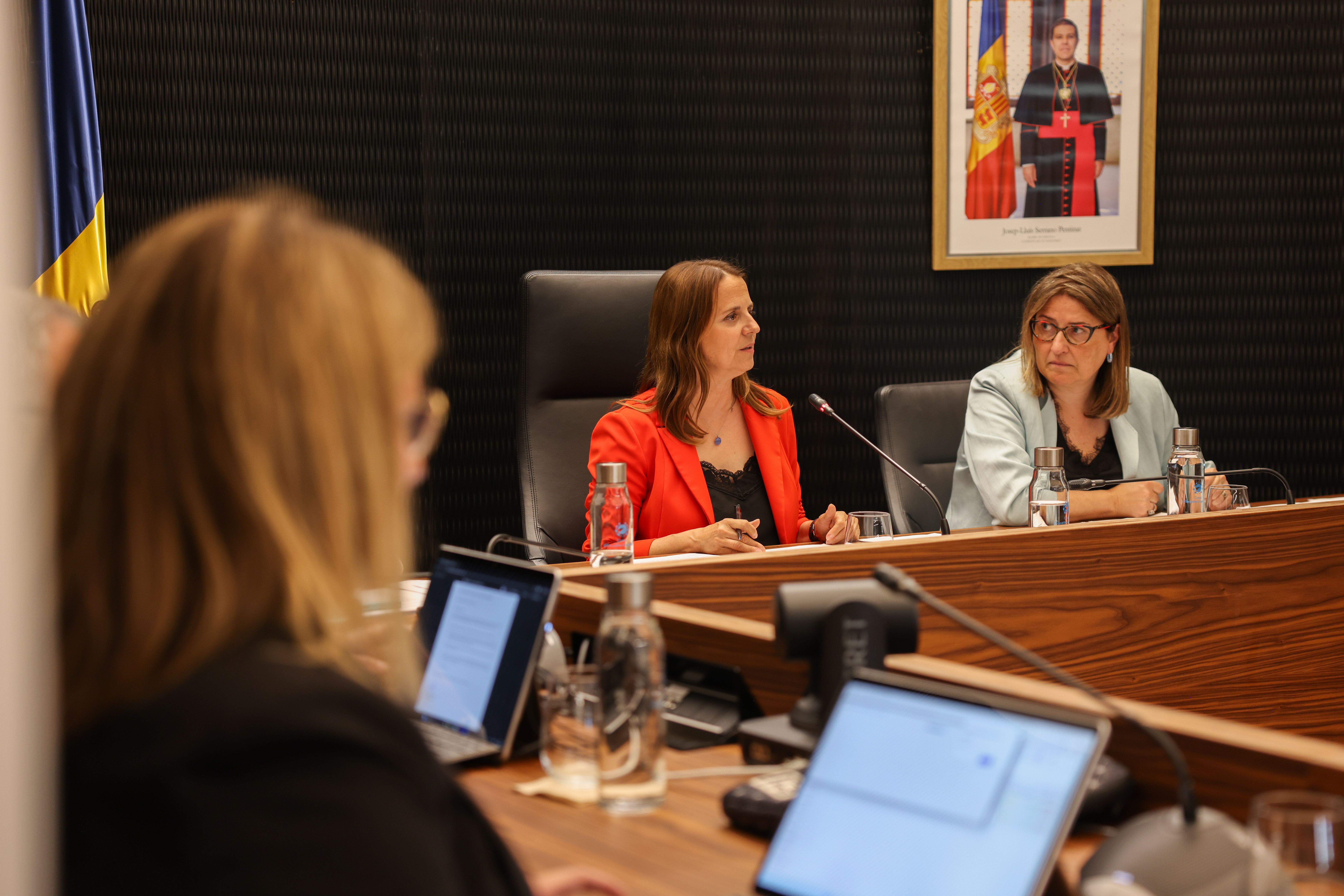 Sessió del consell de comú d'Escaldes-Engordany. La portaveu del Sindicat, Rebeca Bonache.