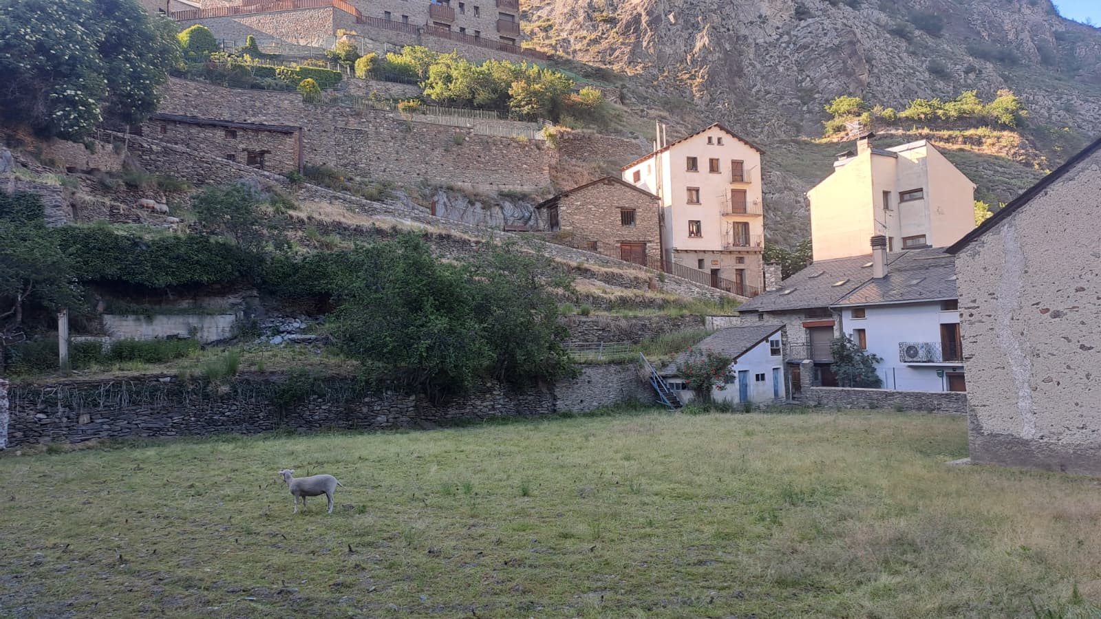 El terreny llogat. La portaveu del Sindicat, Rebeca Bonache.