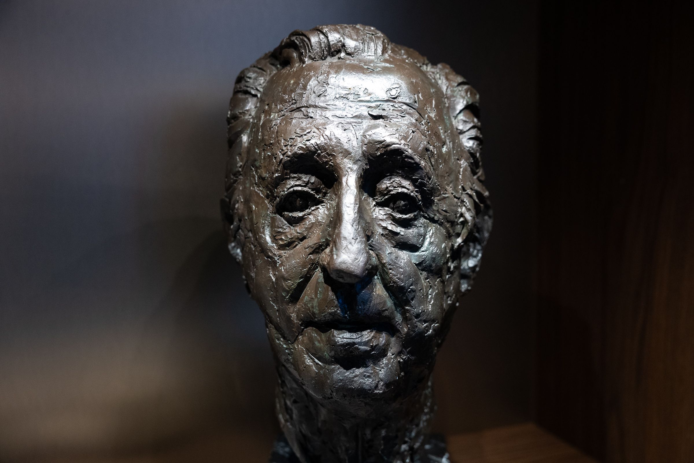 El bust d'Higini Cierco García. El bust d'Higini Cierco García.