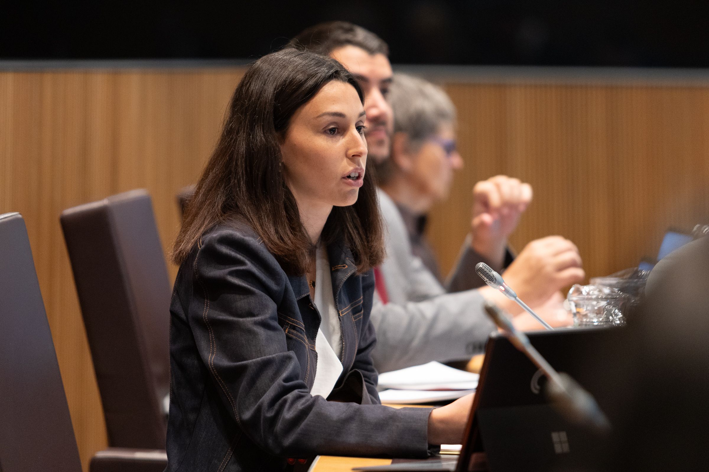 La consellera general del PS, Laia Moliné, durant la sessió.
