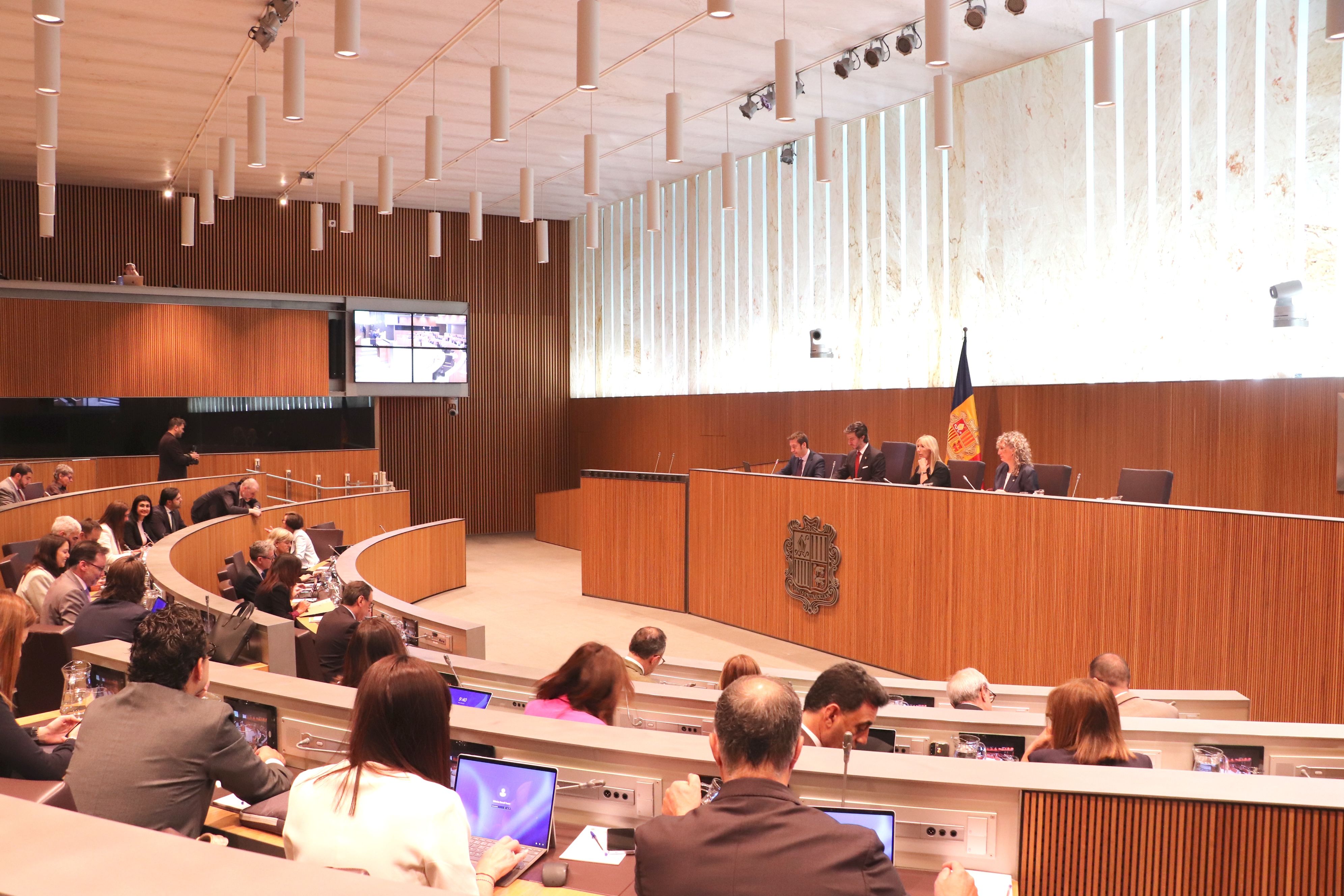 El ple del Consell General.
