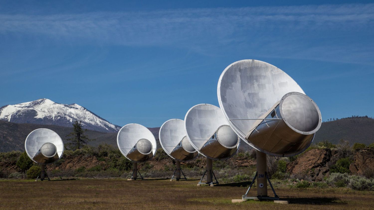Algunes de les antenes del Allen Telescope Array a California que està dedicat a la recerca de senyals de civilitzacions extraterrestres - Crèdit: Joe Marfia La portaveu del Sindicat, Rebeca Bonache.