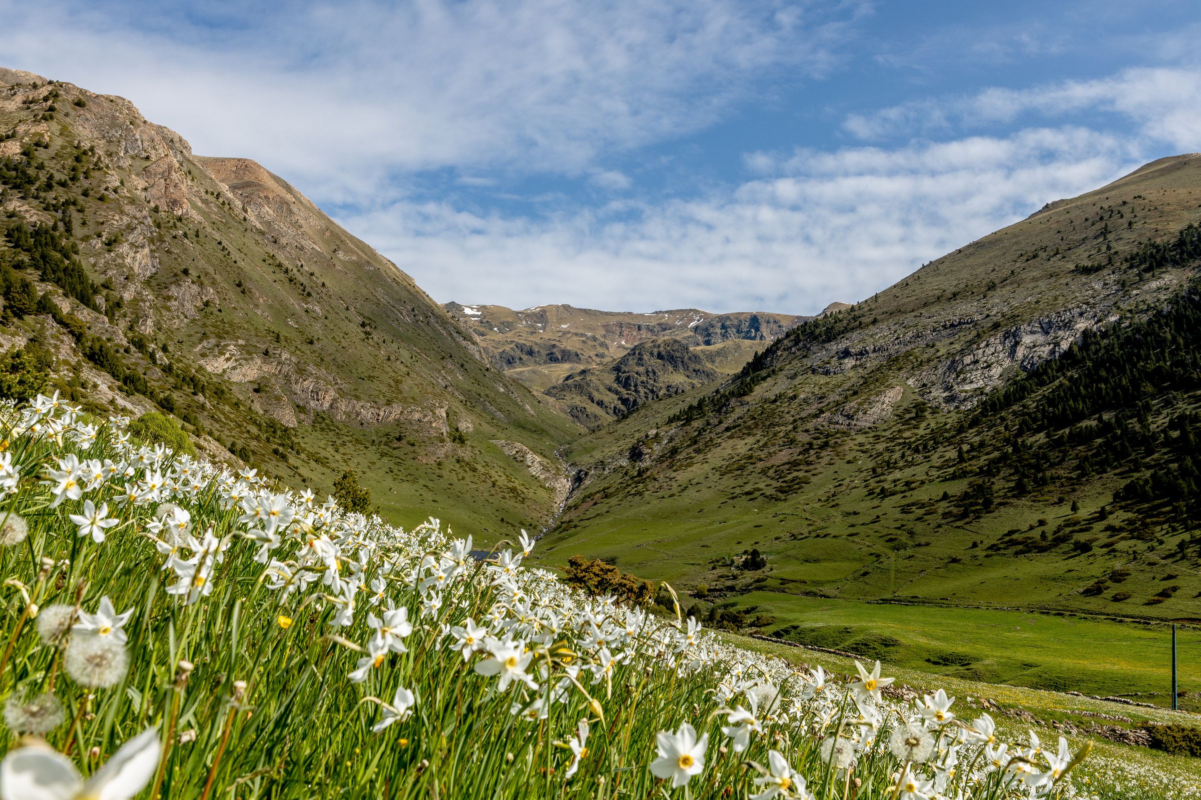 Una vista de la vall de Montaup.