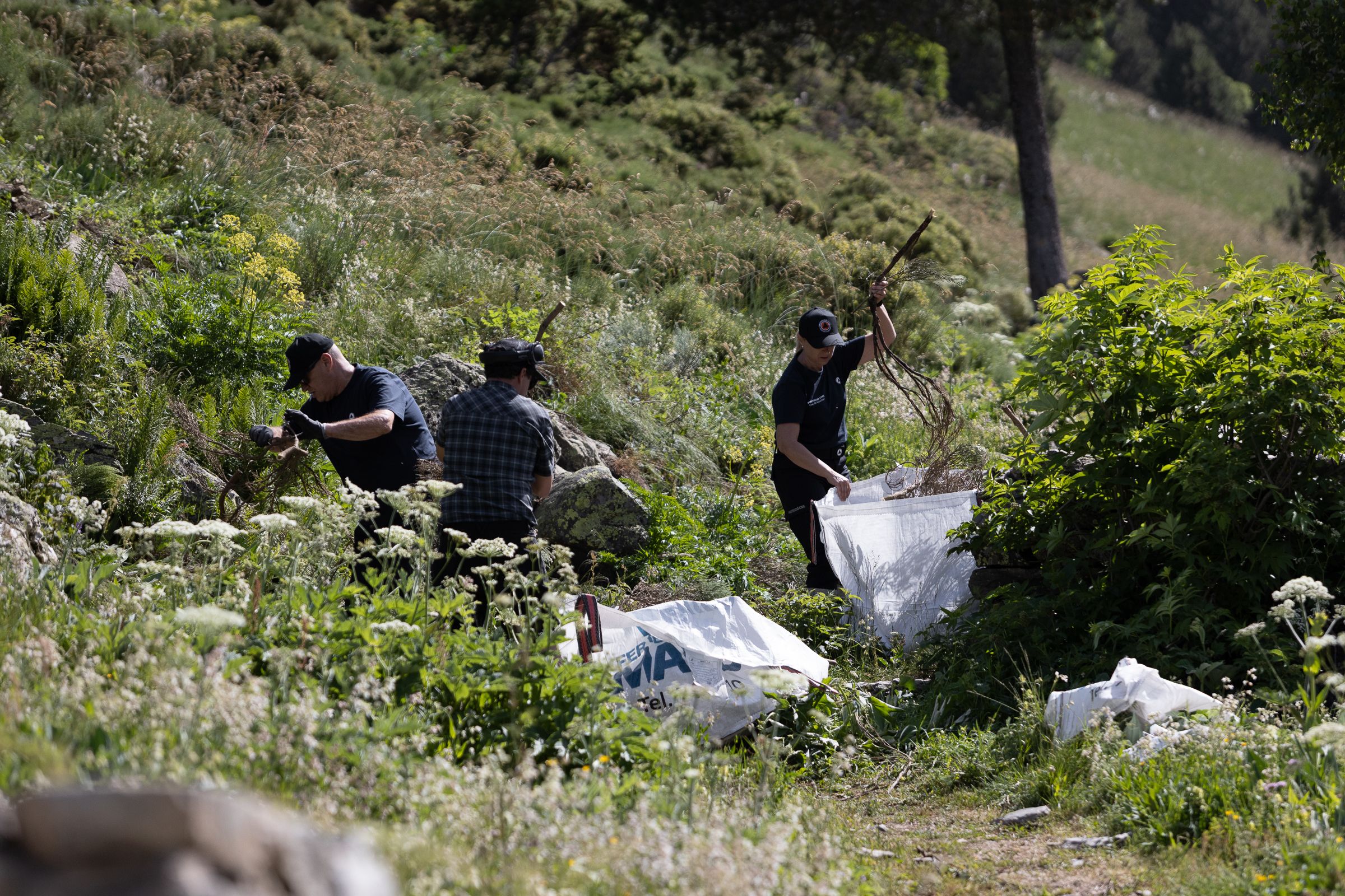 Un moment de la jornada de prevenció d'incendis forestals.