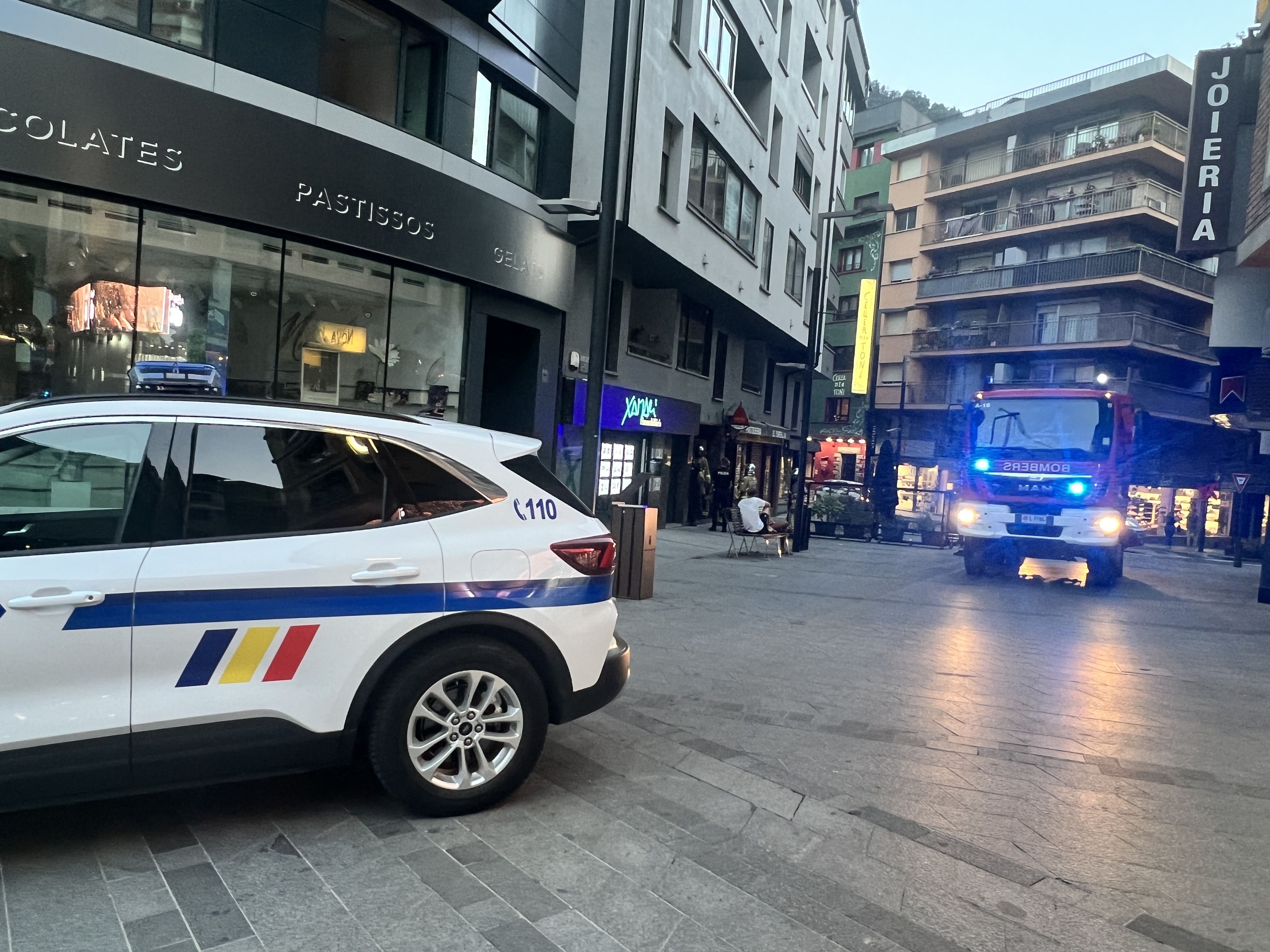 Un cotxe de la policia i un altre dels bombers en les immediacions del lloc on hi ha hagut l'incident.