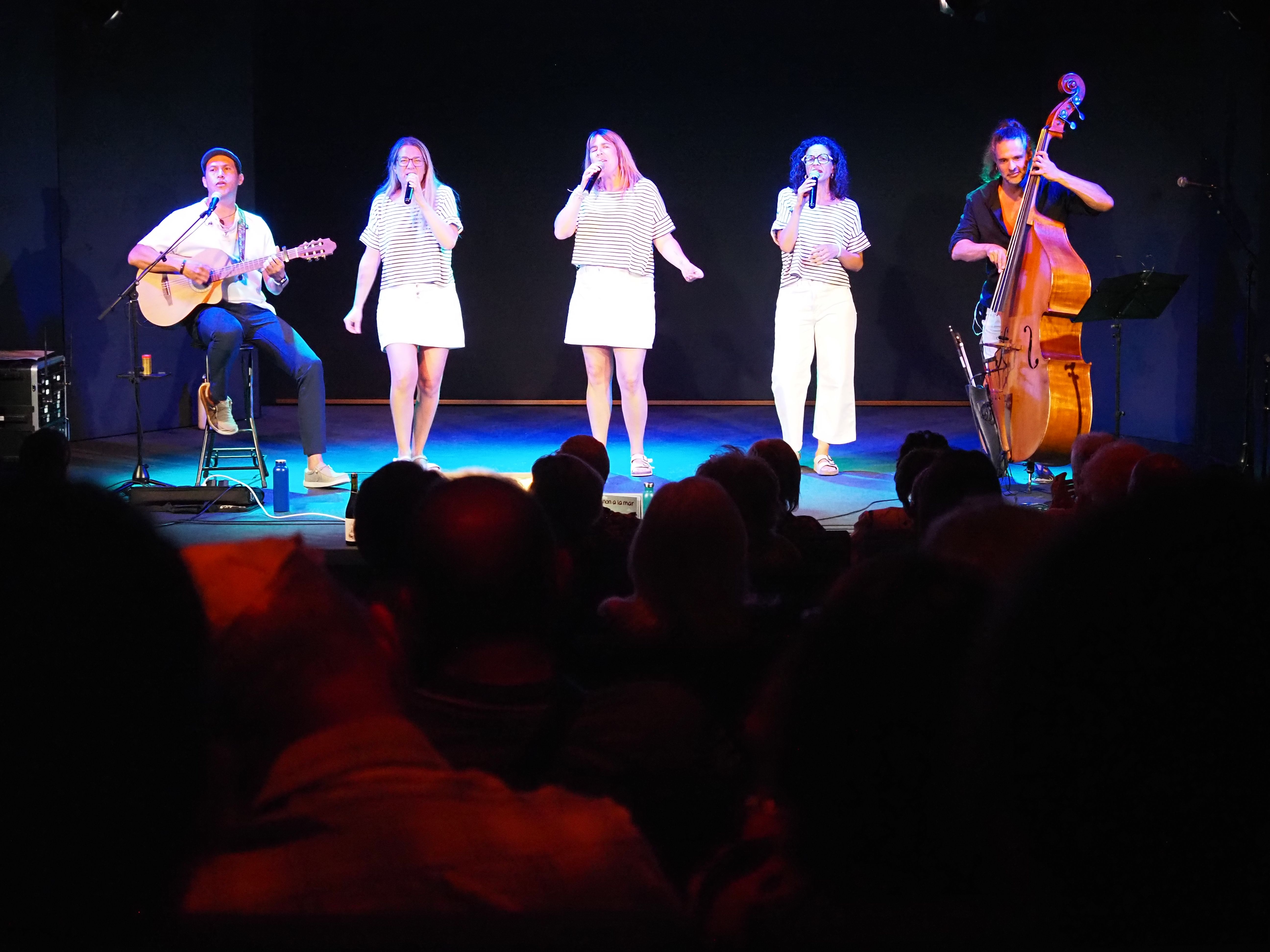 Concert de Les Anxovetes a l'auditori Rocafort.