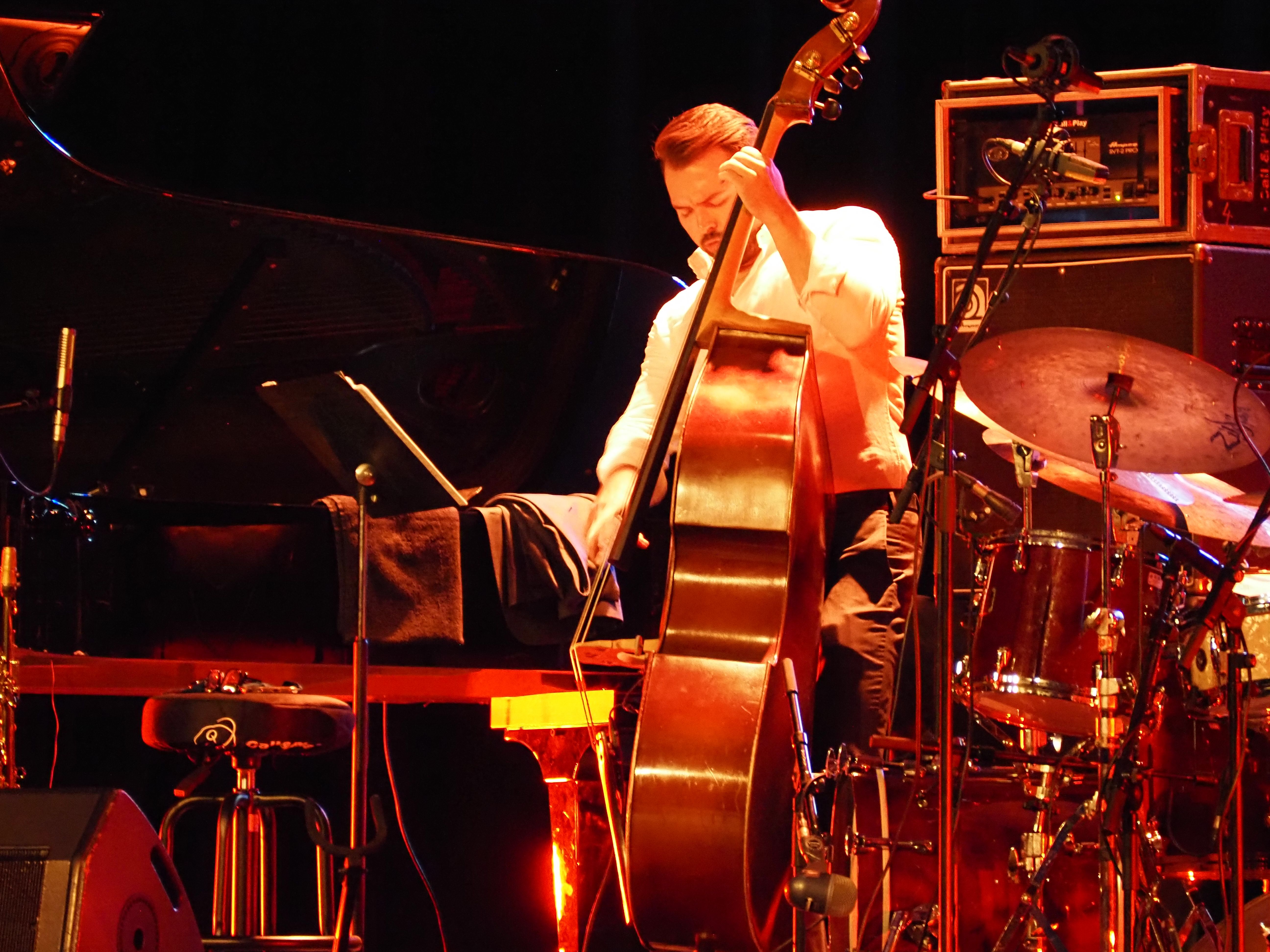 El contrabaixista Philip Norris. El contrabaixista Philip Norris.
