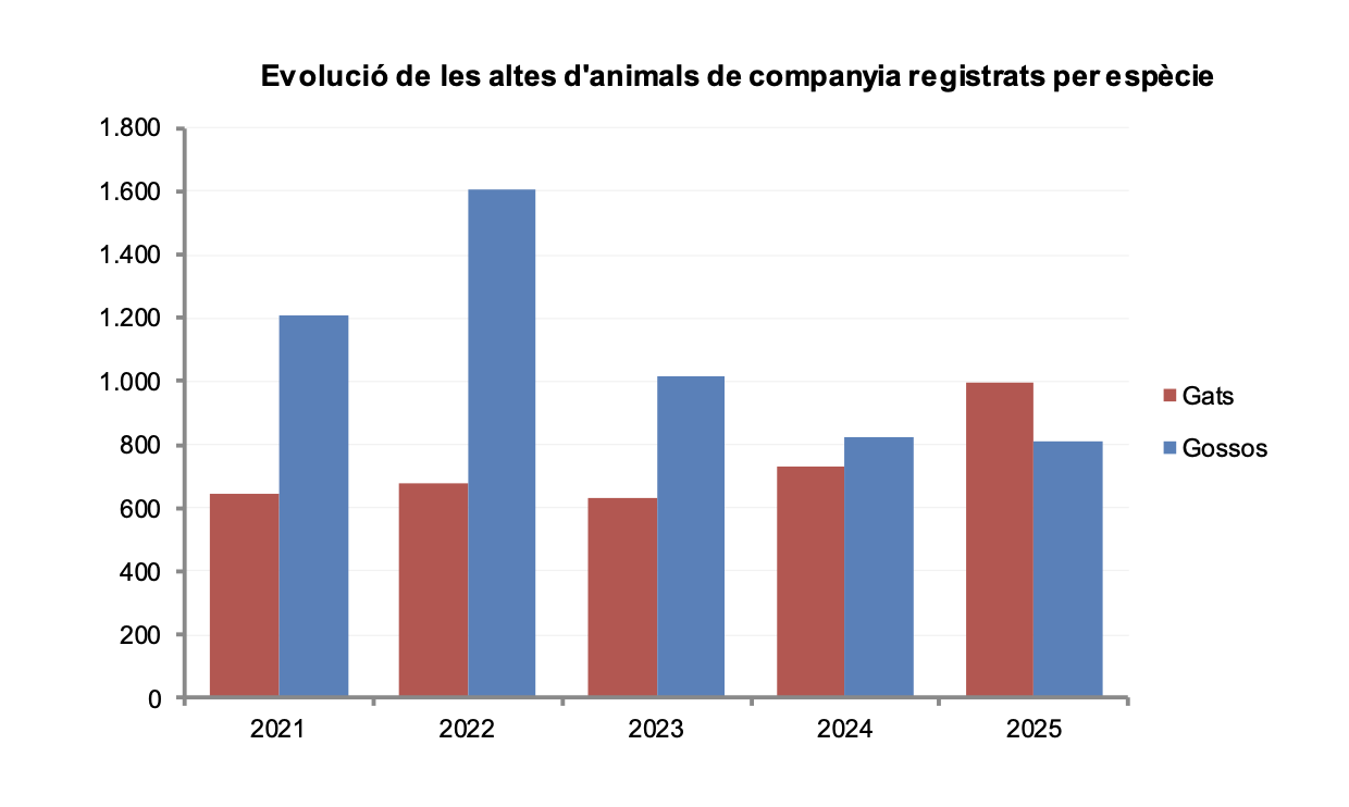 Evolució de les altes al registre. La portaveu del Sindicat, Rebeca Bonache.