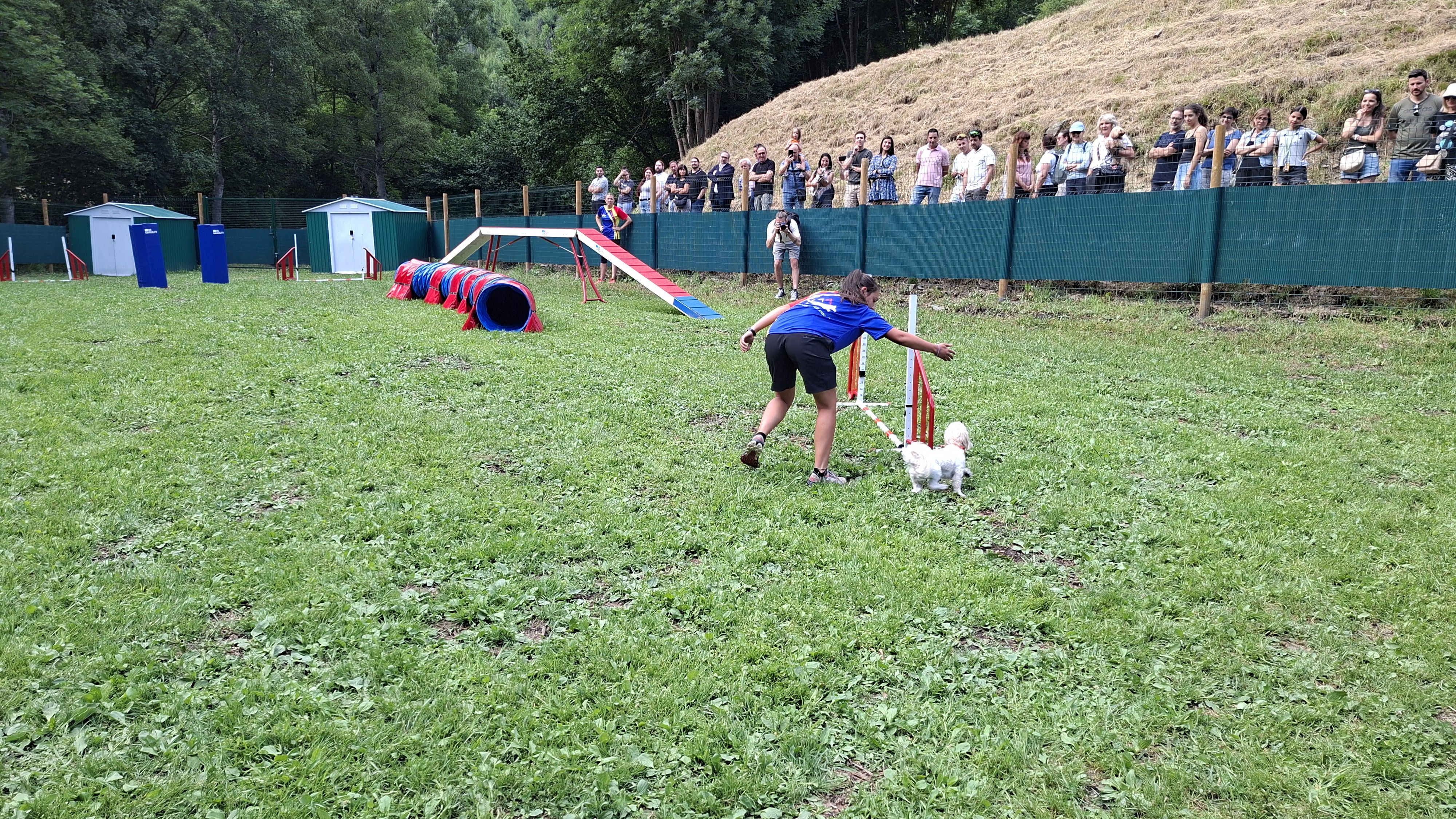 Una de les exhibicions que han servit per inagurar el parc caní.