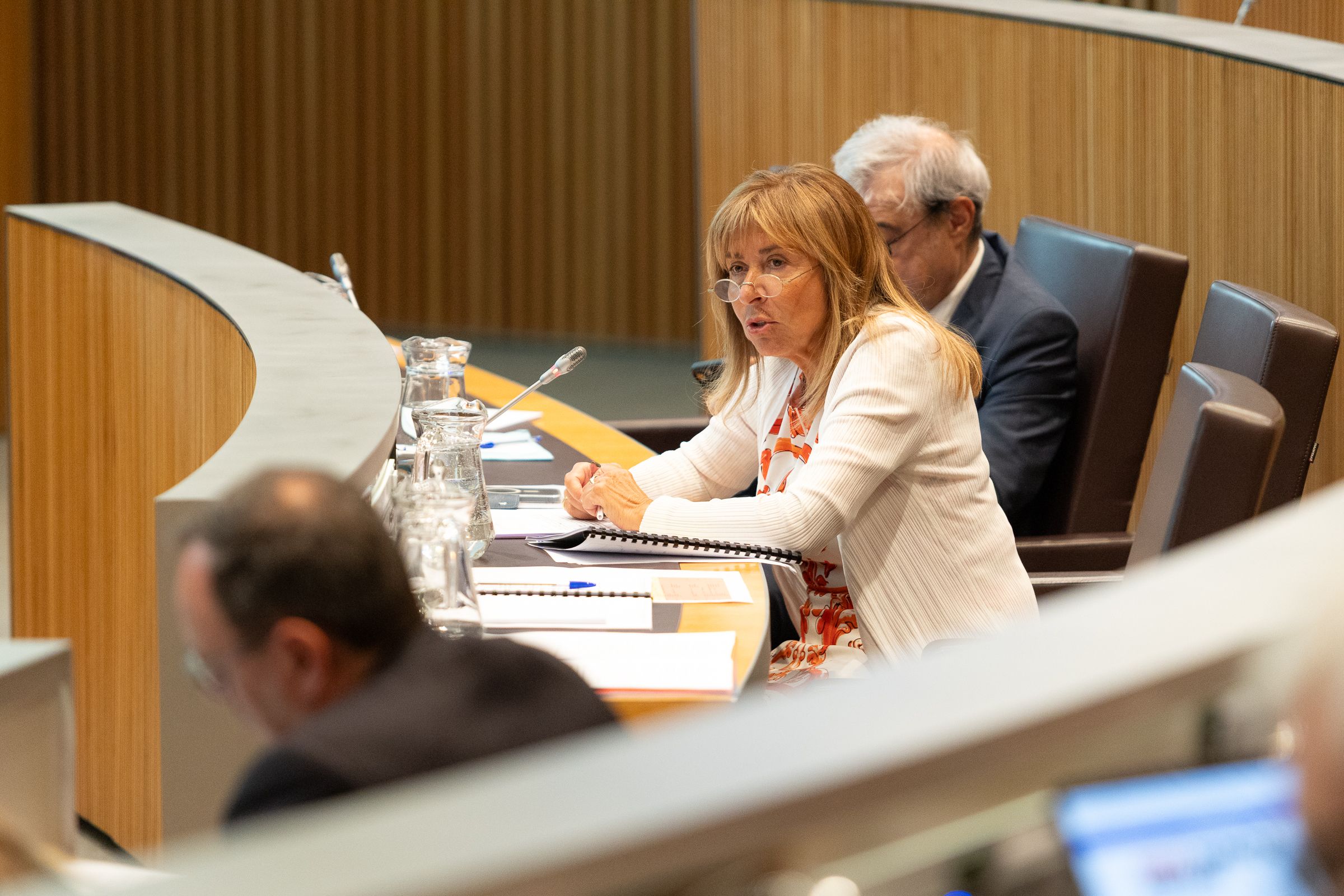 La ministra Marsol, durant el ple.