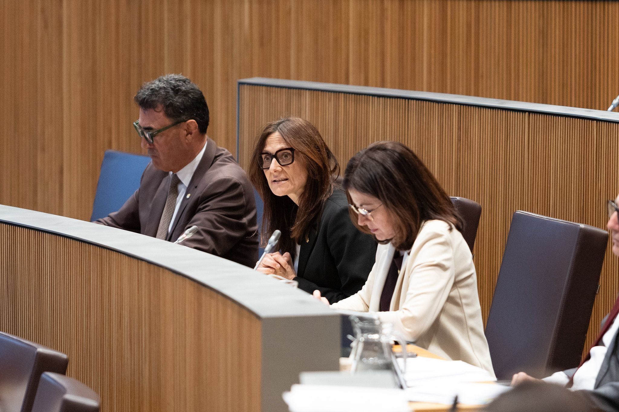 Ester Molné intervé en el Consell General.