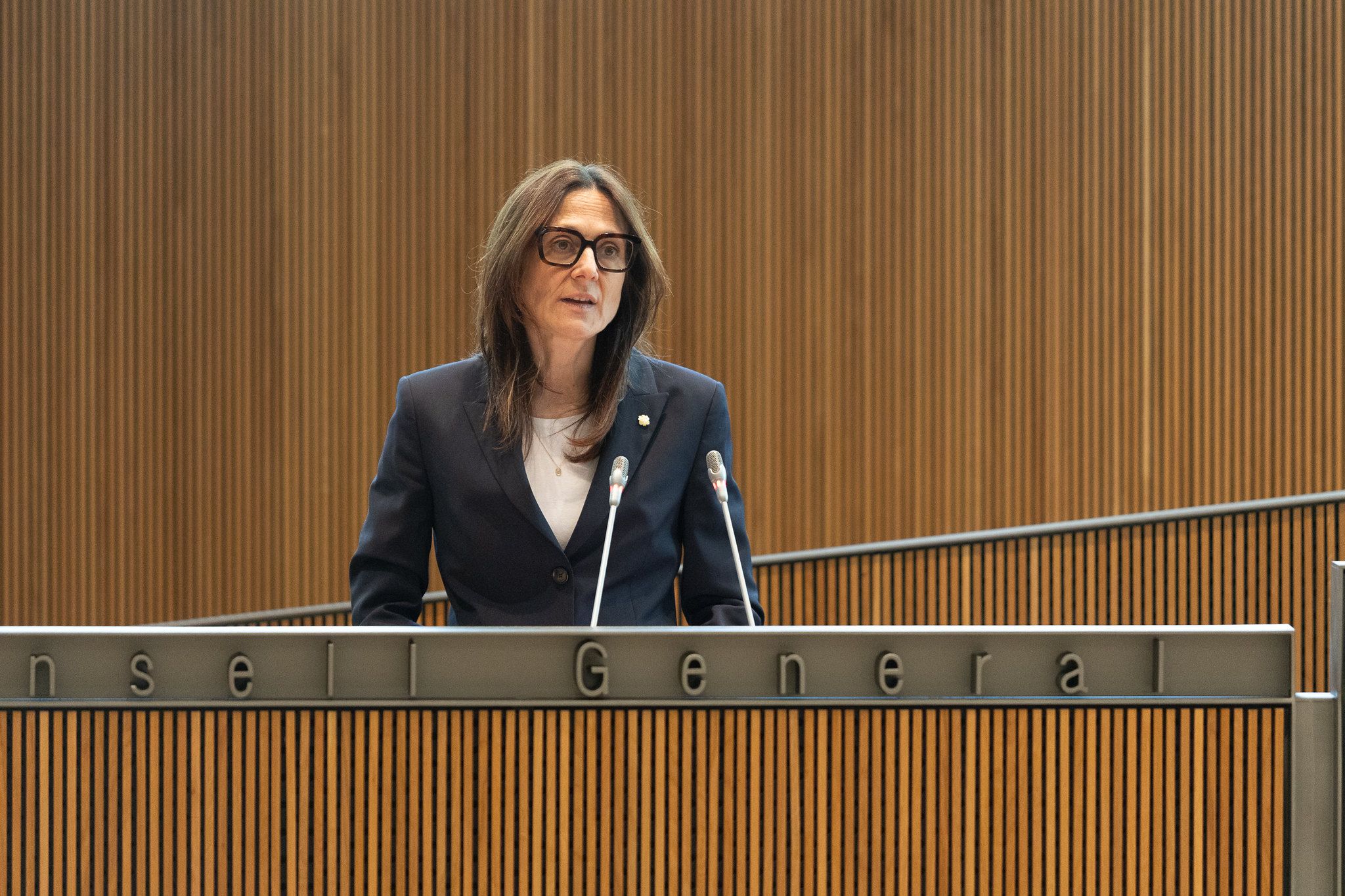 La ministra Molné, al Consell General.