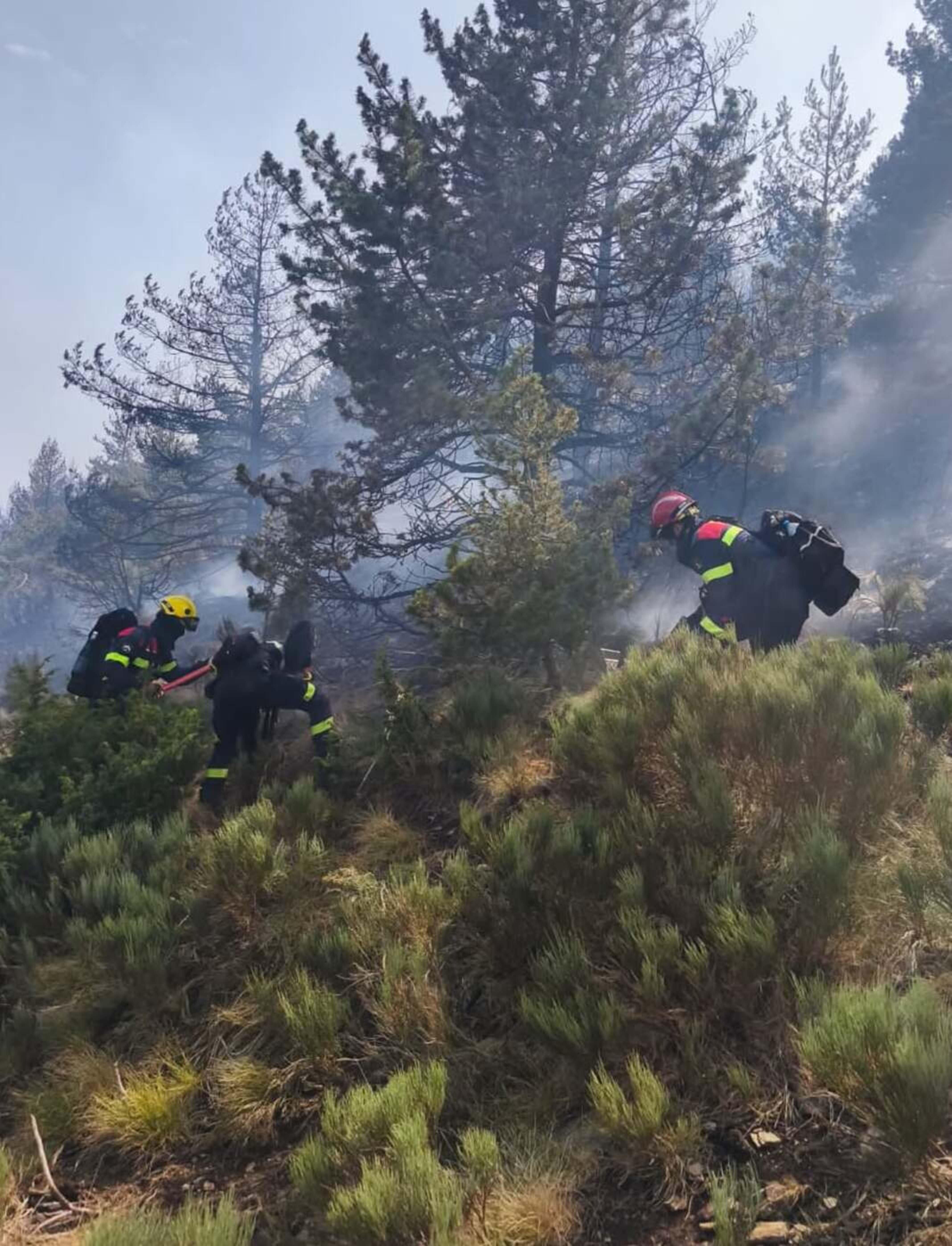 Tres dels efectius andorrans en plena tasca d'extinció en el flanc de Romadriu.